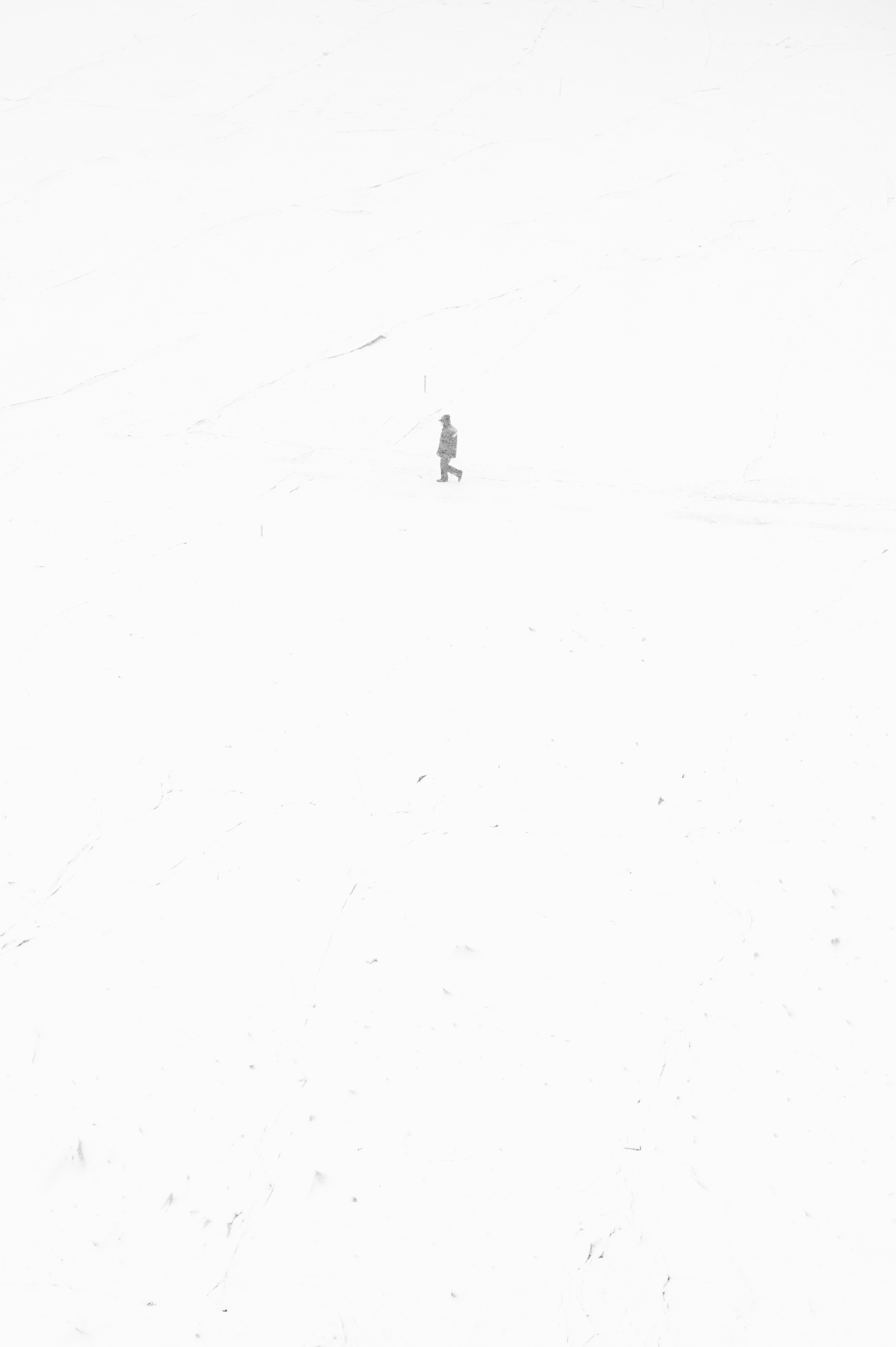 Photo by jimmyjin