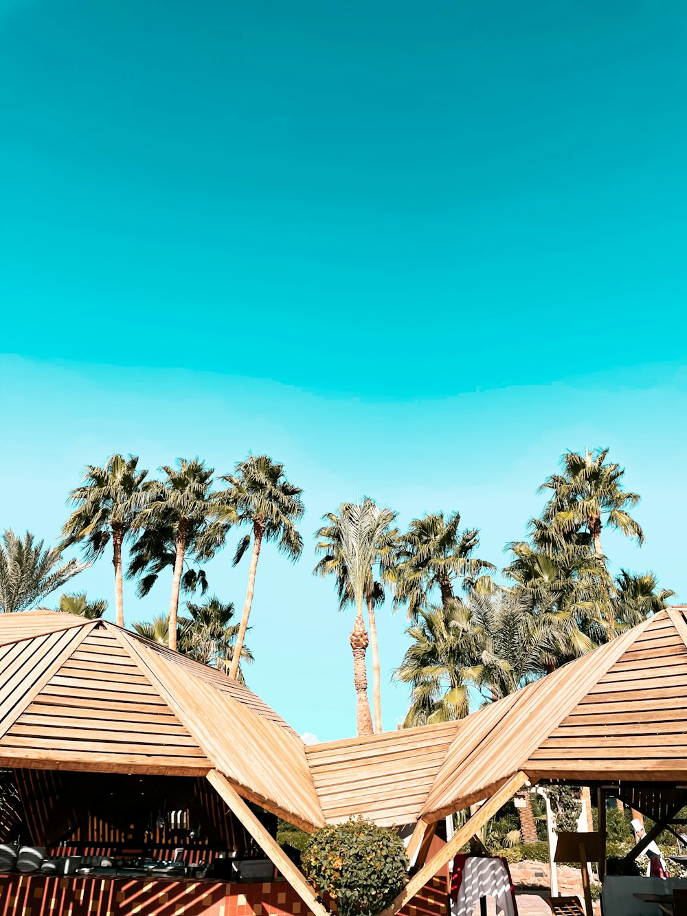 a row of wooden buildings with palm trees in the background