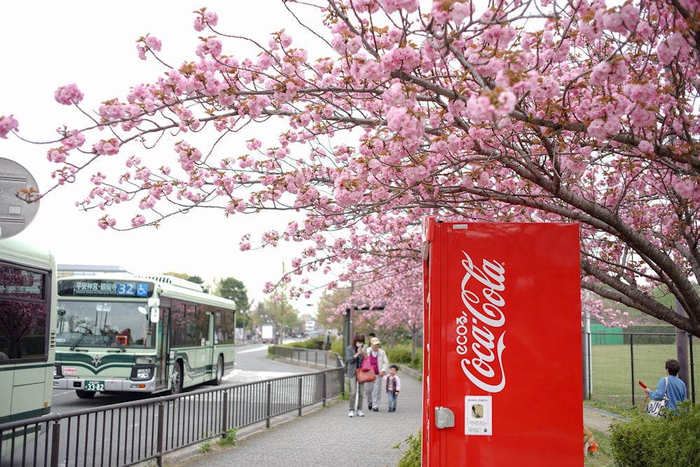 a coca - cola machine next to a tree with pink flowers