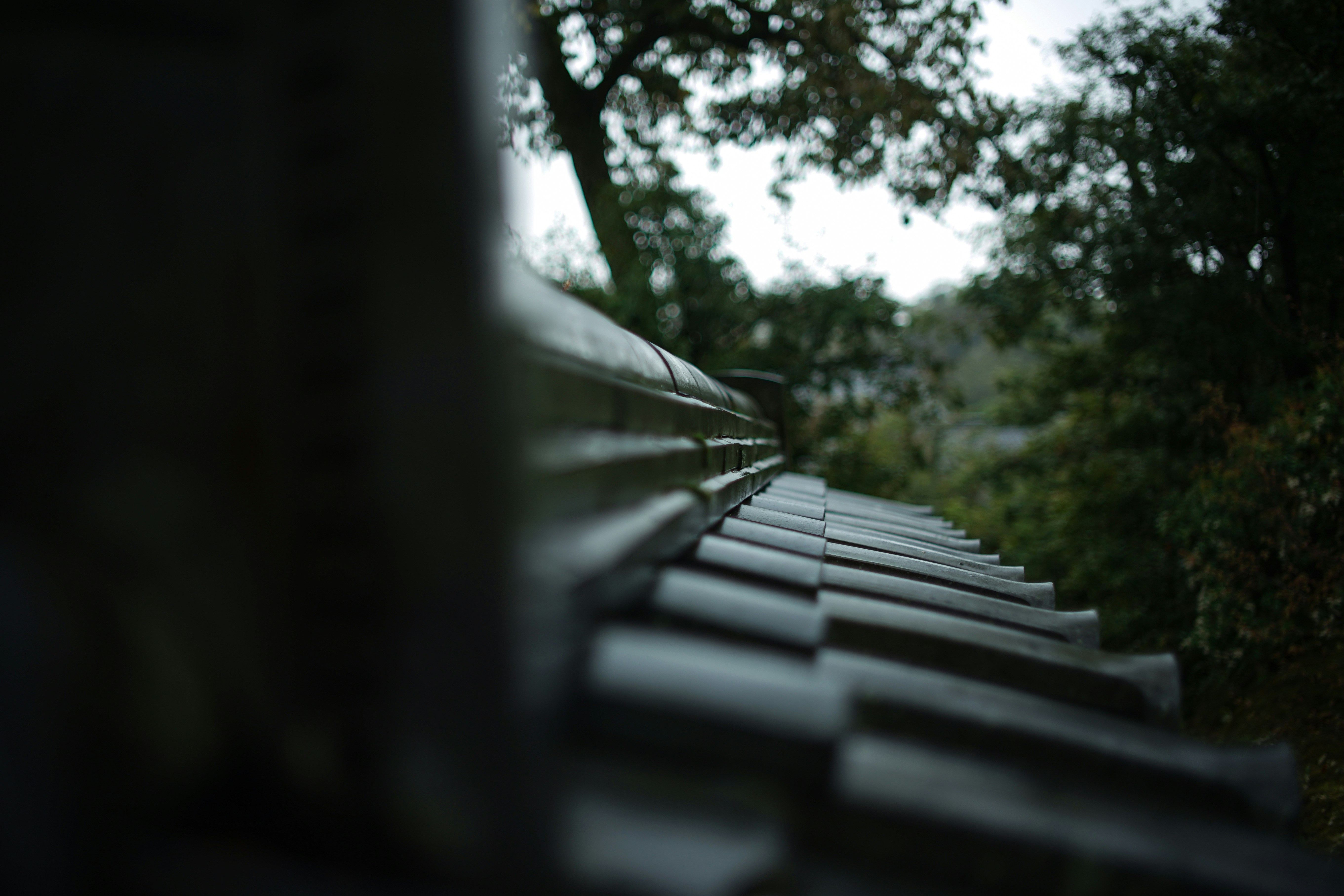 a close up of a row of benches in a park