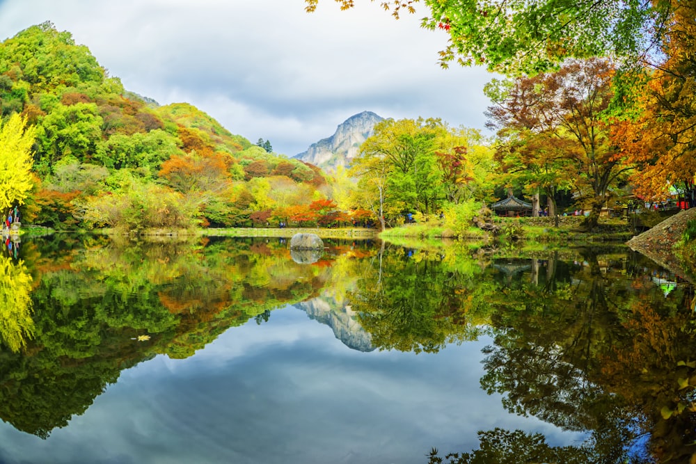 a lake surrounded by trees with mountains in the background