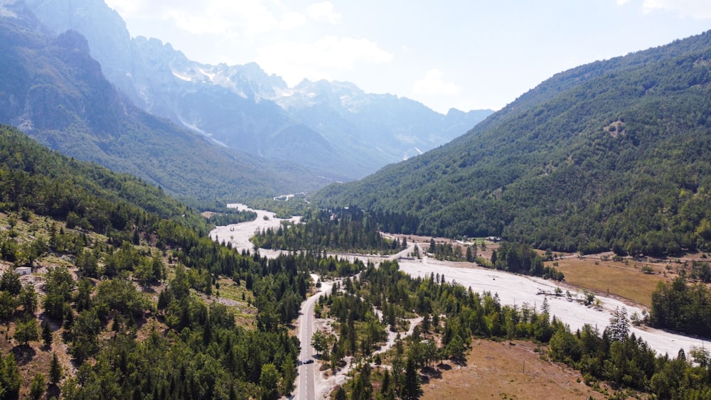 a river flowing through a lush green forest