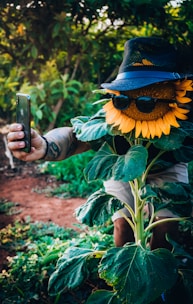 Sunflower wearing sunglasses and a hat taking a playful selfie