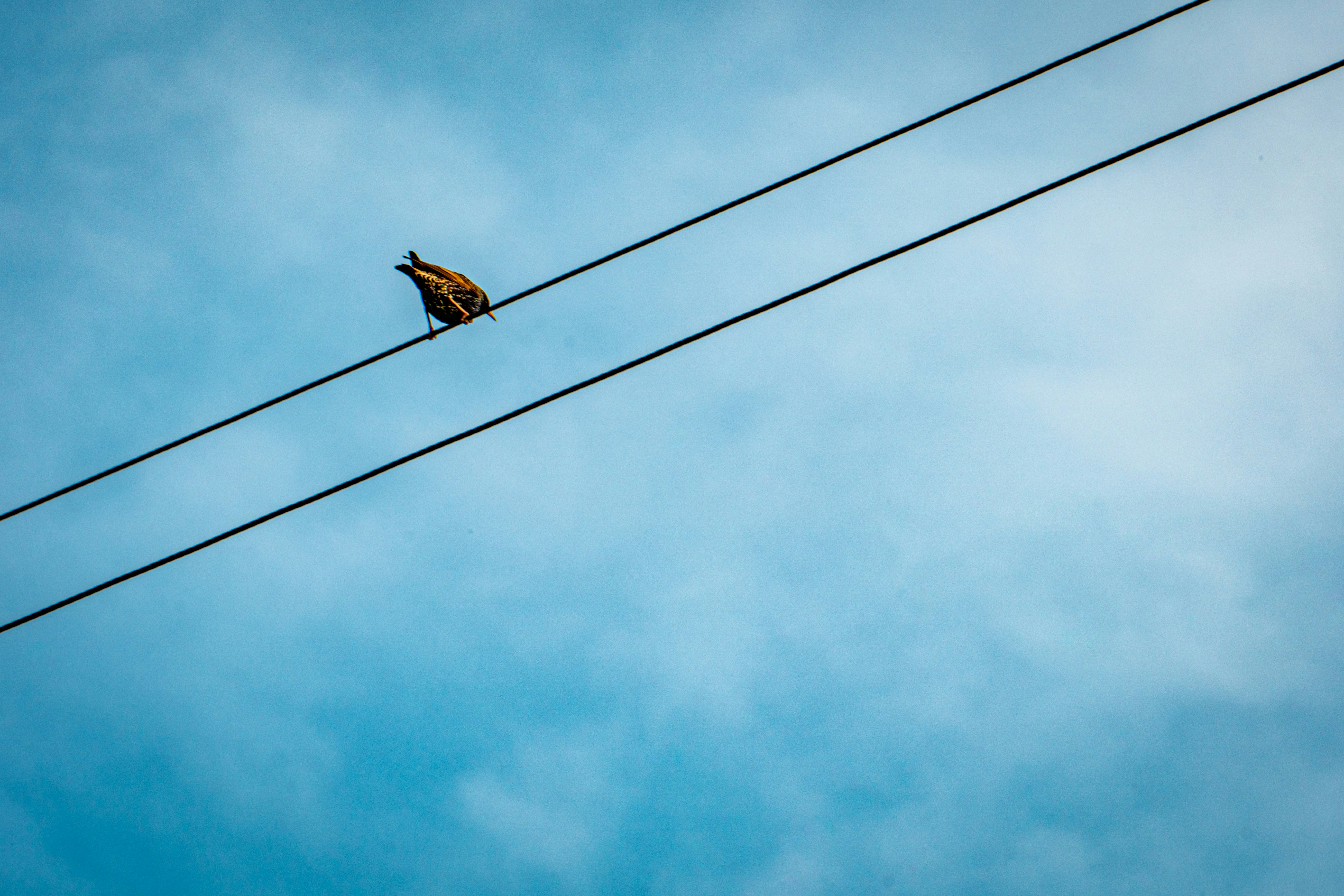 Photo by rickylore24