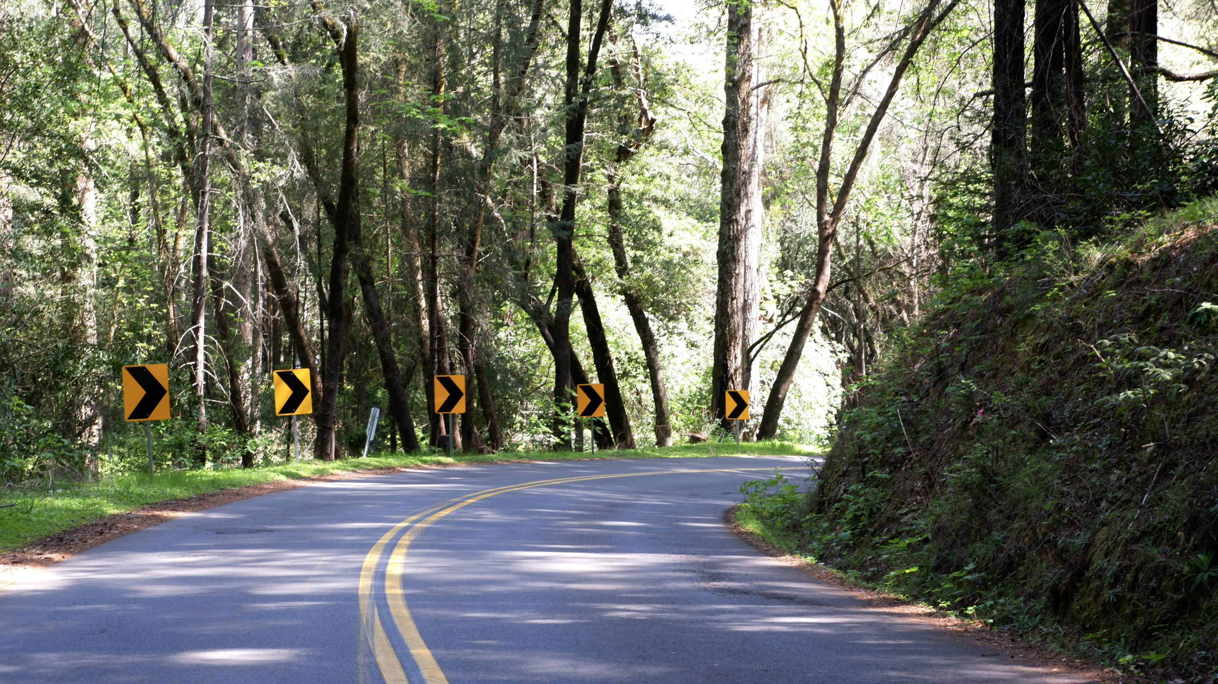 Photo by alechussle415