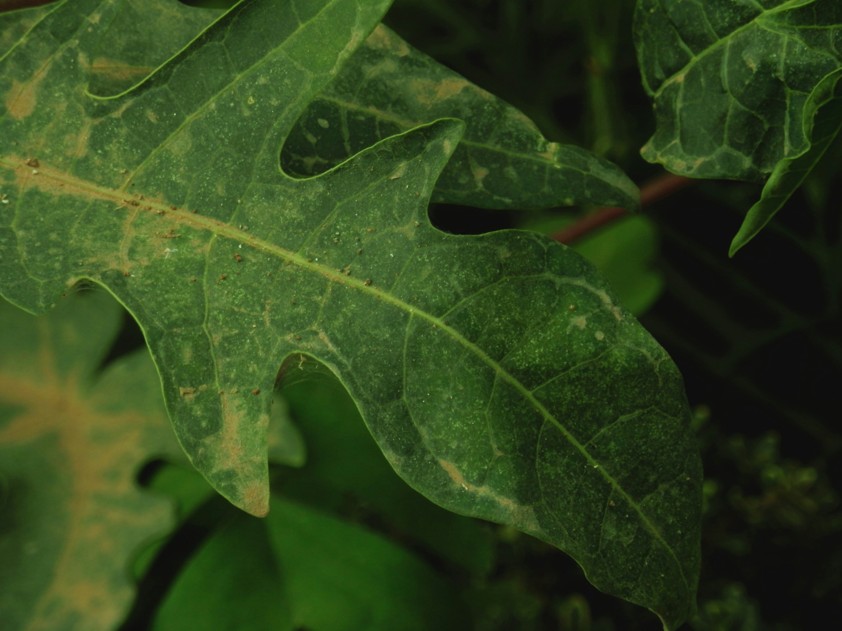 Photo by 100photosfor100days