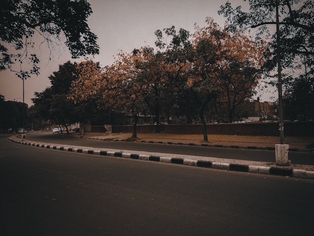 a street lined with trees on both sides of it