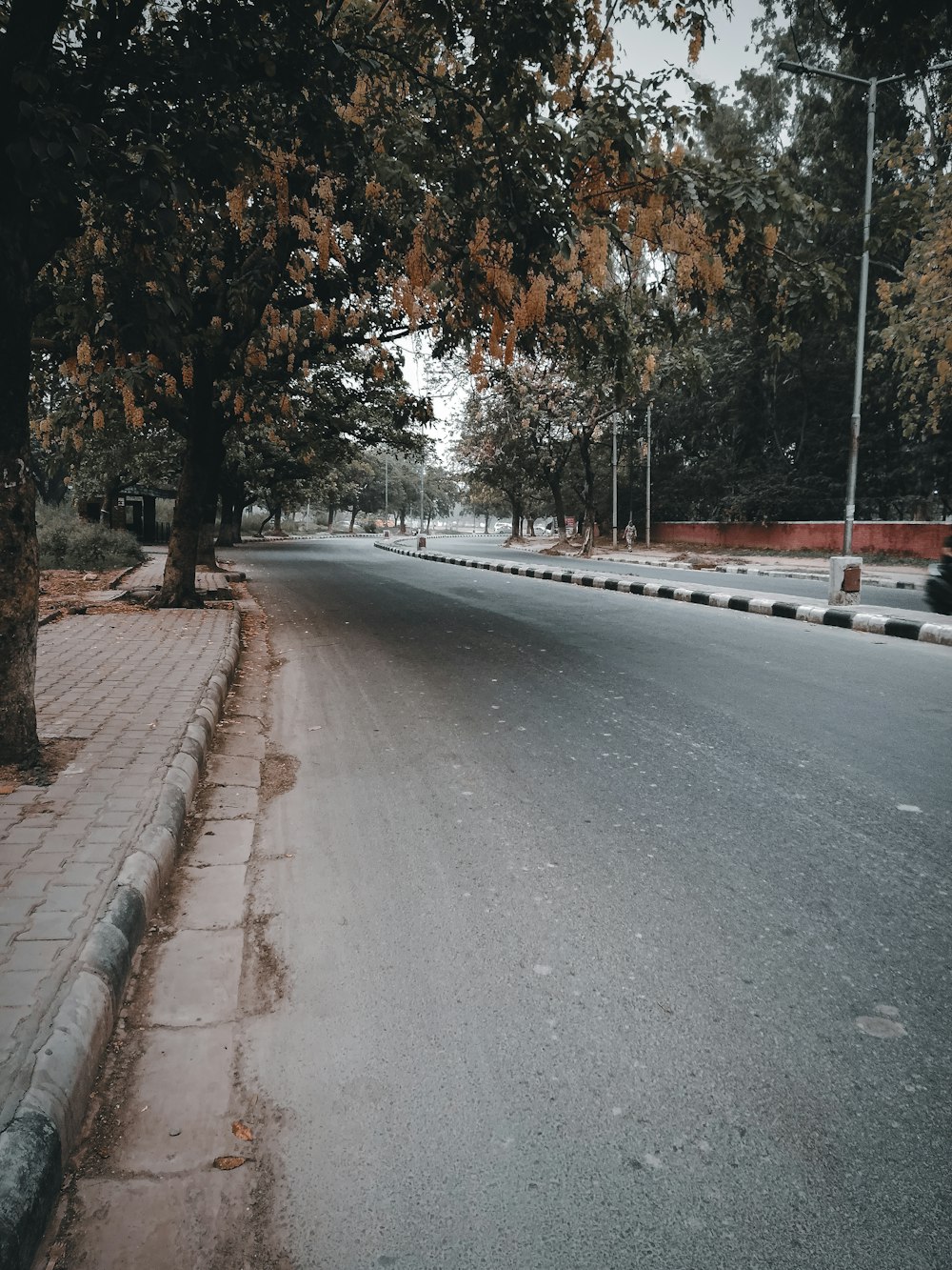 an empty street with trees on both sides of it