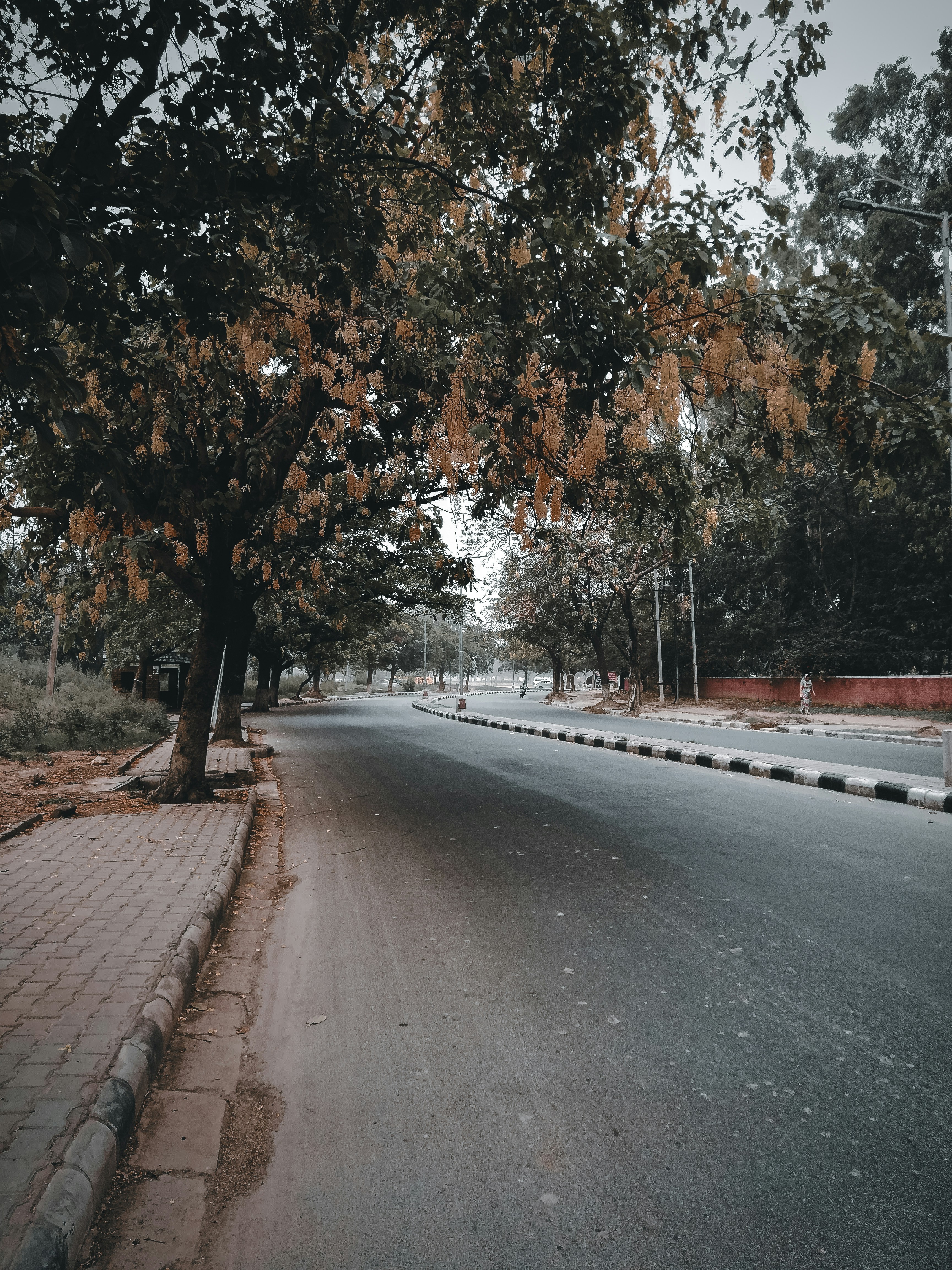 Photo by aryannikhil