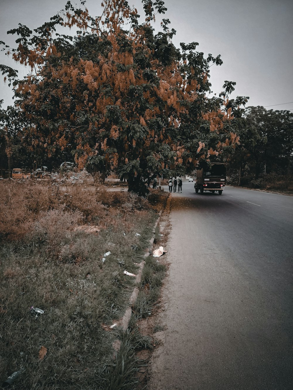 a bus driving down a road next to a tree