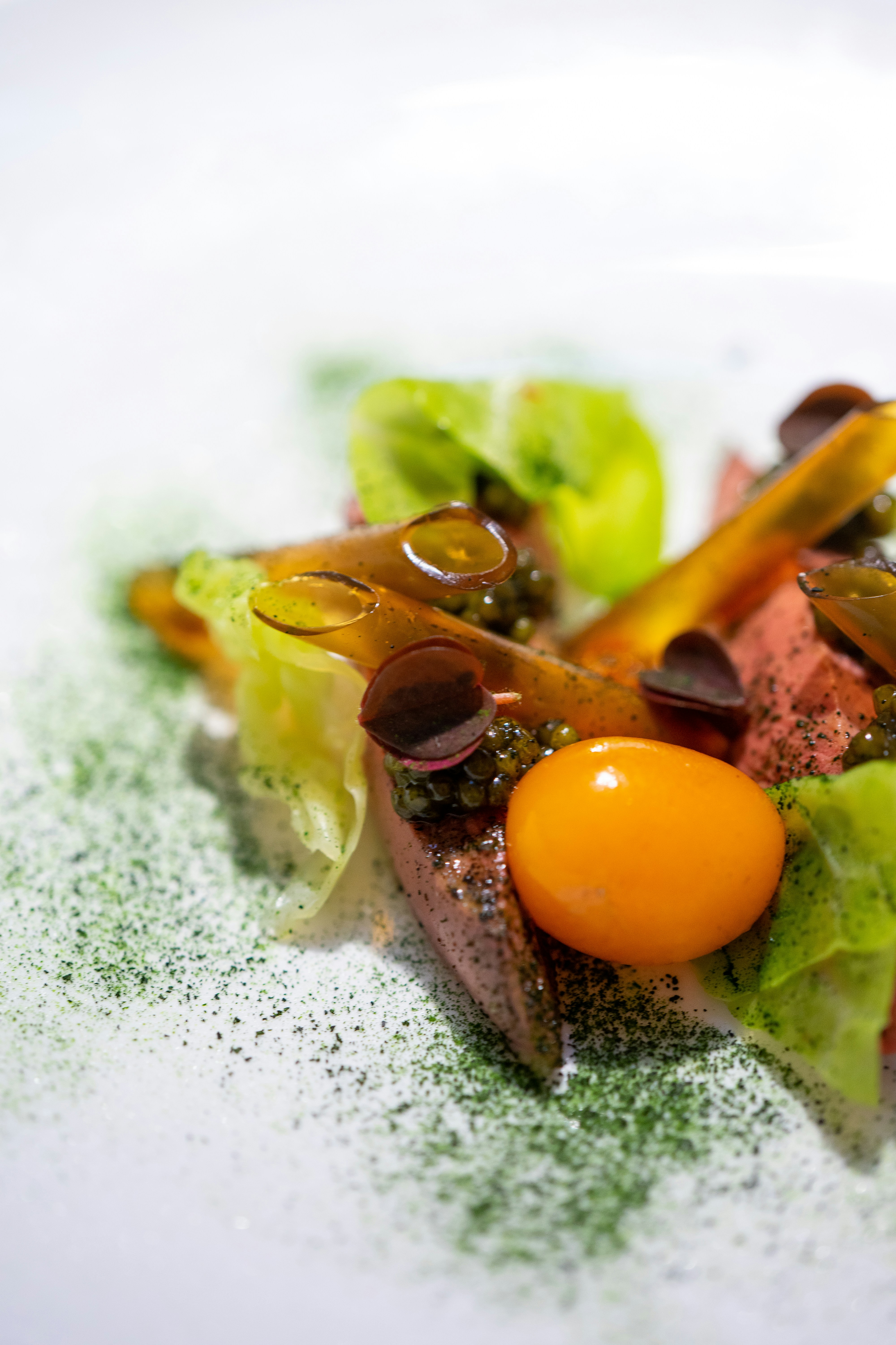 Tomatoes in American Kitchens: Delicious Flavor Meets Powerful Nutrition