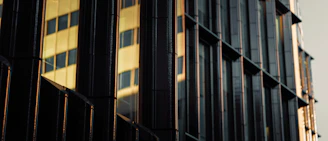 A close-up of sleek aluminum window frames reflecting sunlight in a modern building.