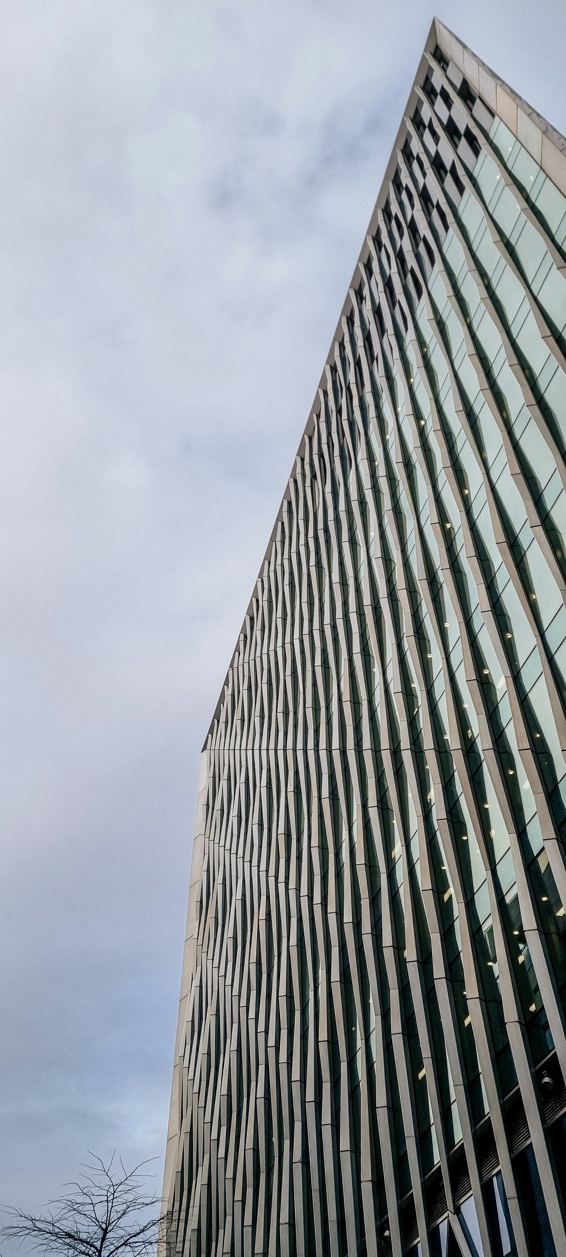 Photo by isabellamann