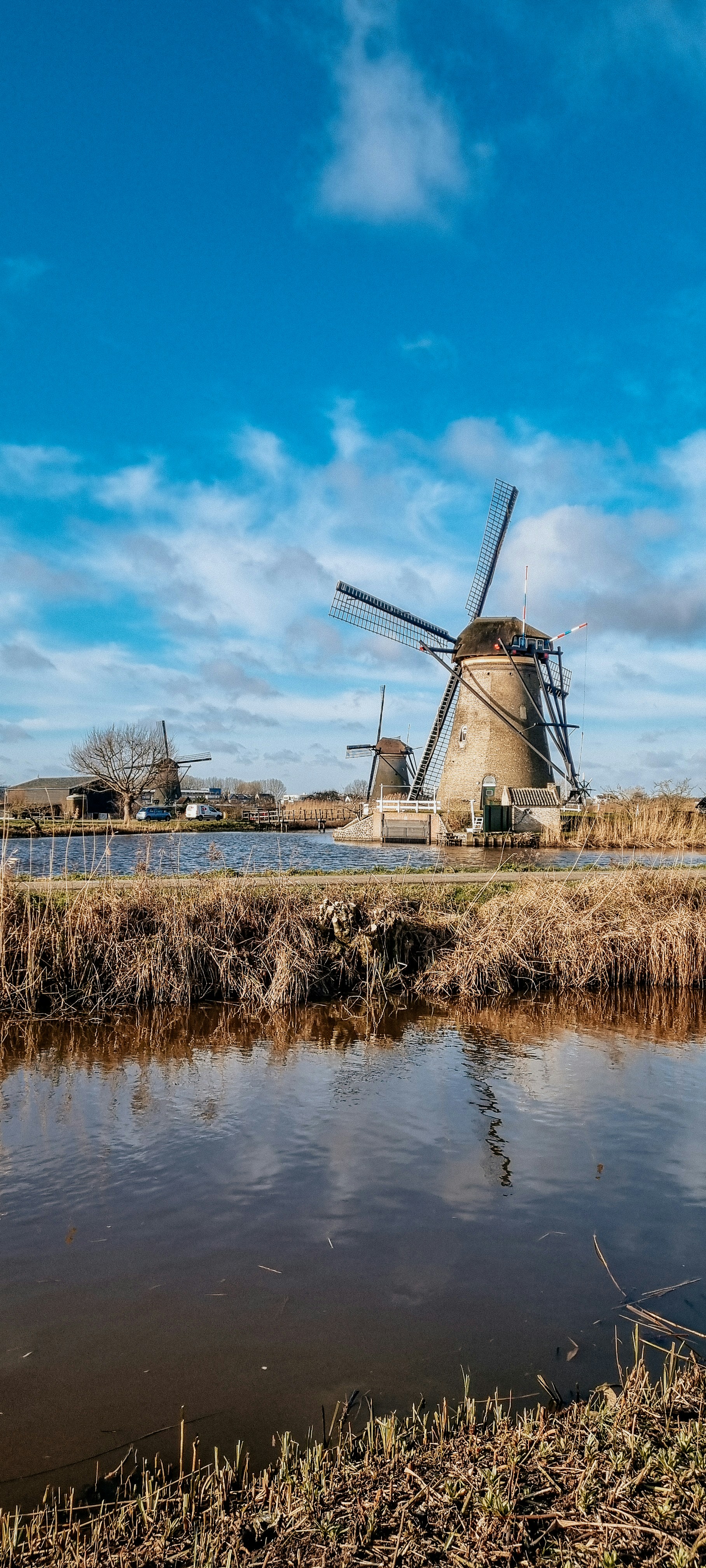 Photo by isabellamann