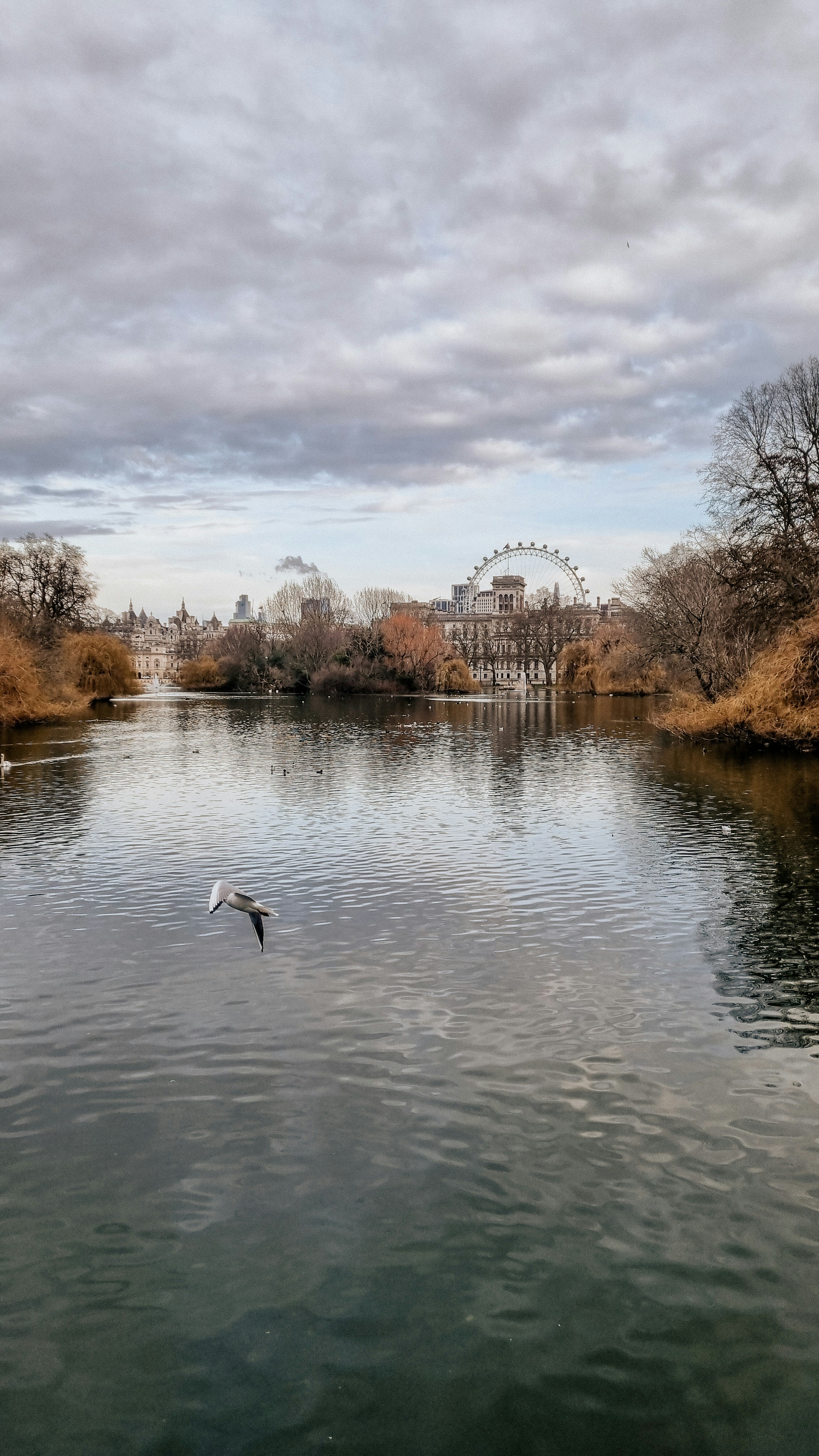 Photo by isabellamann