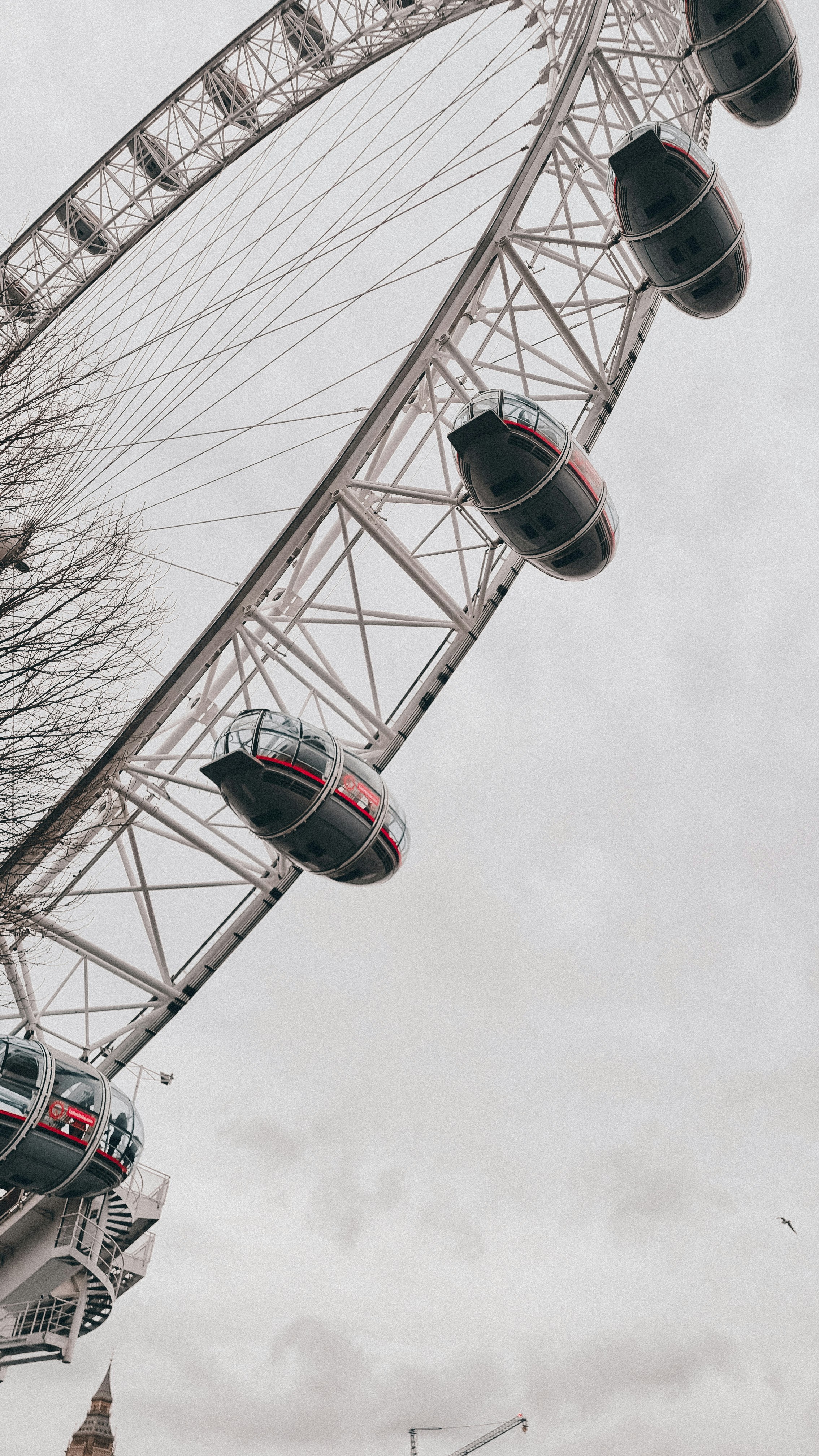 Photo by isabellamann