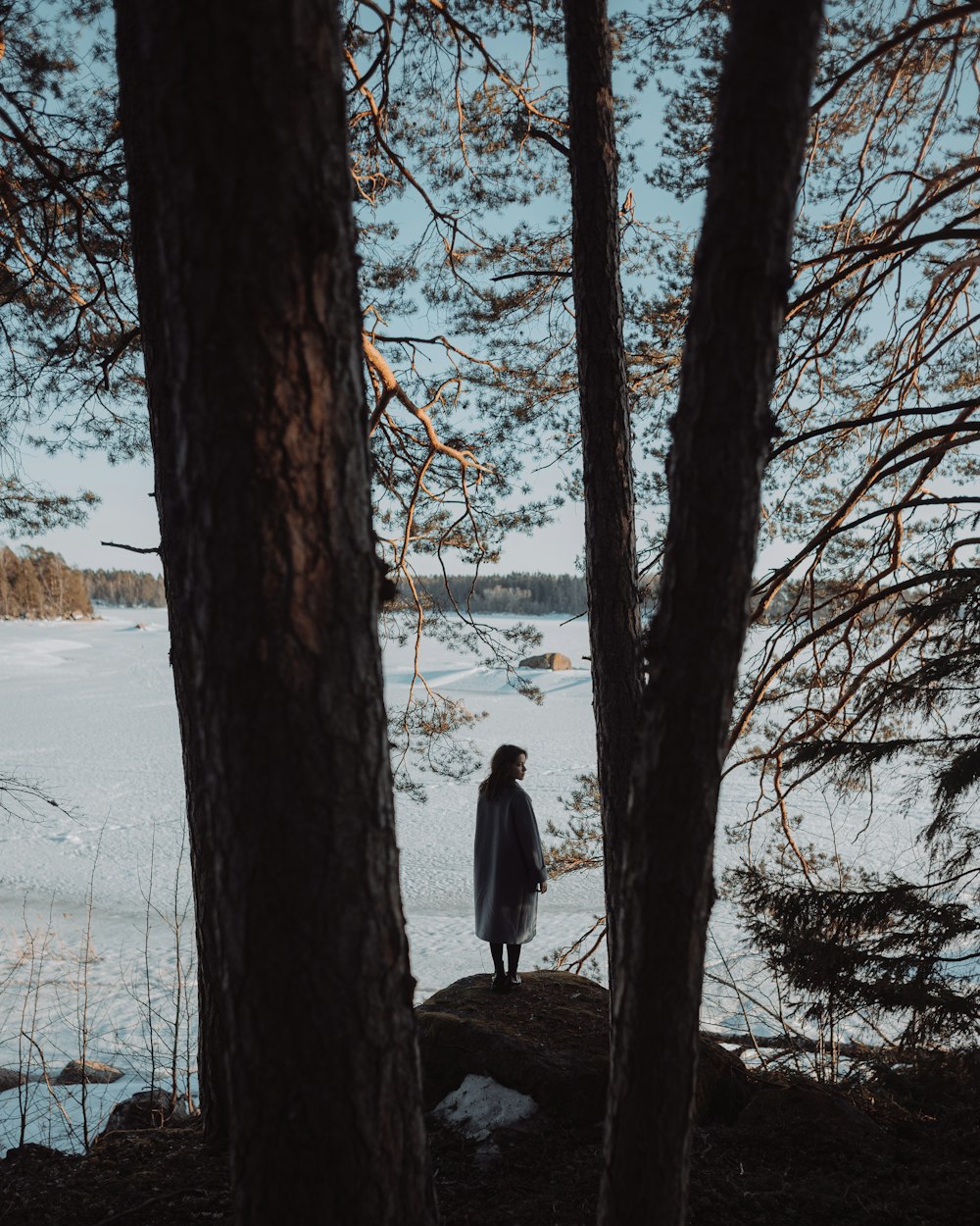 Una persona parada en la nieve entre dos árboles