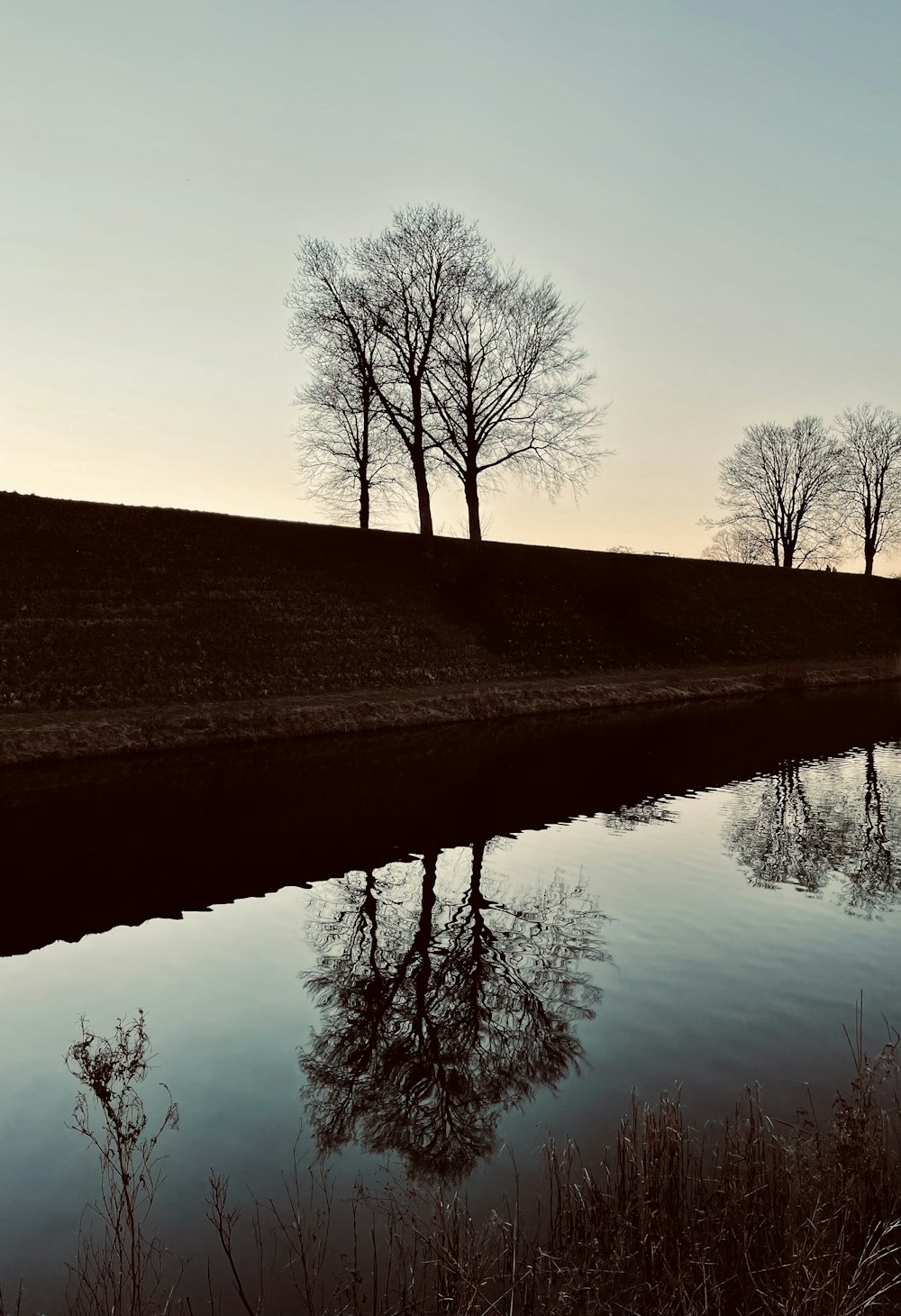 a body of water with trees in the background