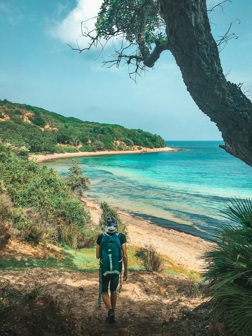 a man walking down a dirt path next to the ocean