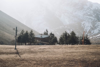A wooden cabin nestled among several tall evergreen trees sits in front of a snow-capped mountain range. The foreground consists of a barren, dry, grassy field with a ski lift pole visible. The sky is overcast, giving a muted appearance to the landscape.