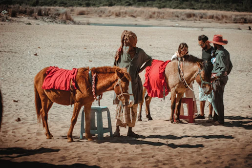 A small group gathered outdoors around horses, engaged in a supportive workshop.