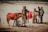 A group of people is standing on a sandy area with two small brown horses. The horses are dressed with red blankets and are being held by the people. Two stools are placed near the horses as they are being prepared, possibly for a ride. The background consists of arid, grassy terrain.