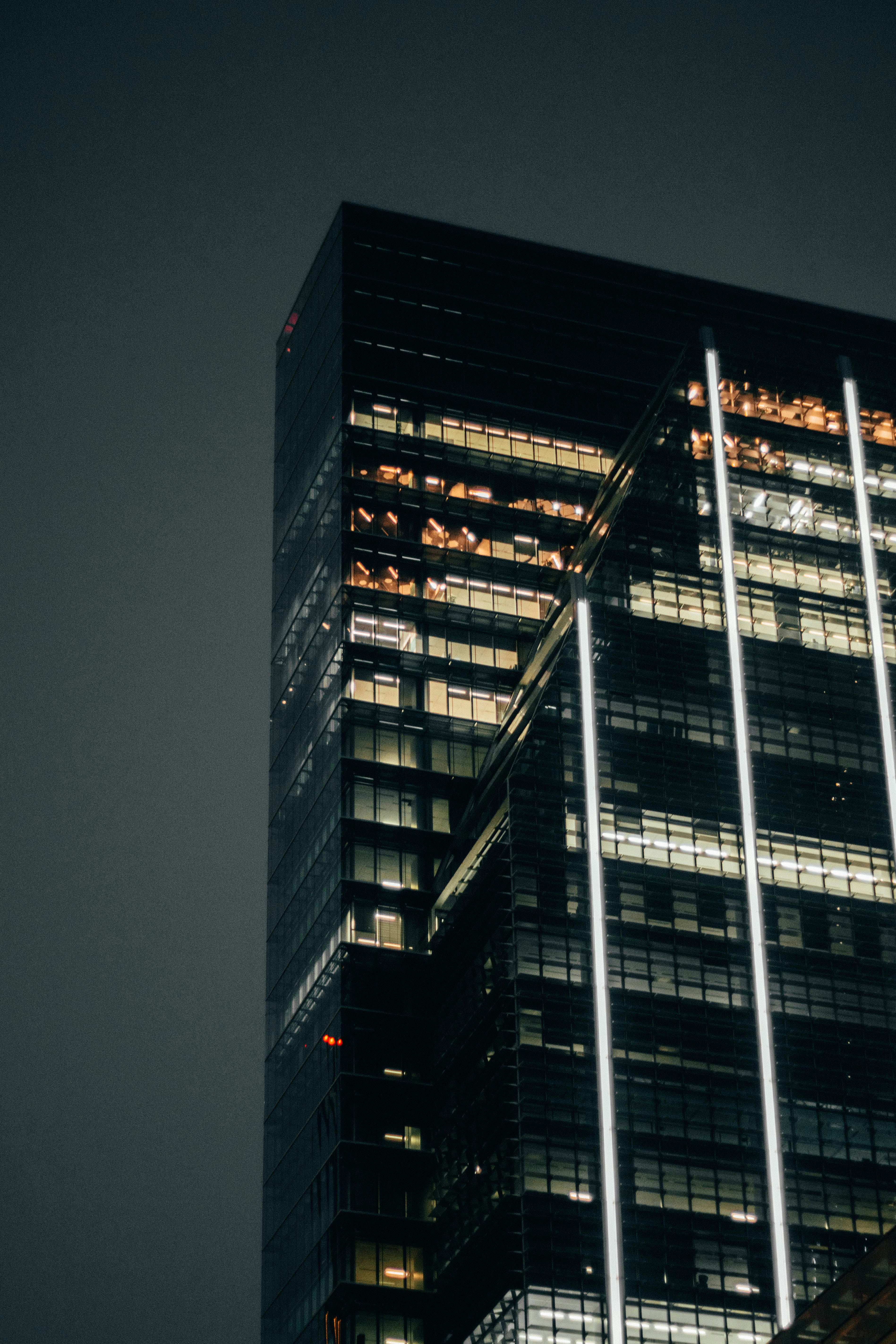 Photo by salaheregouane