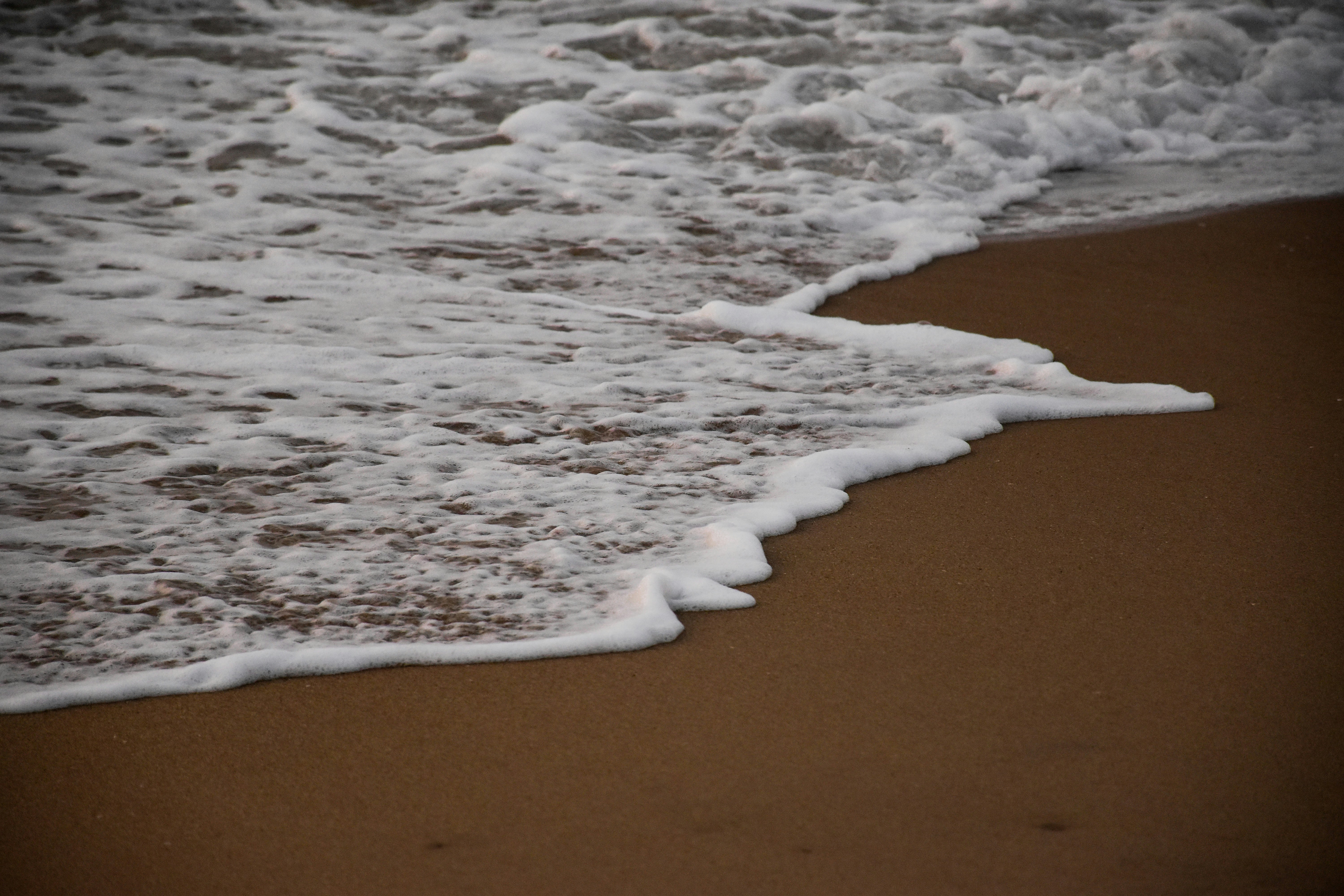 Photo by ankita_clicks