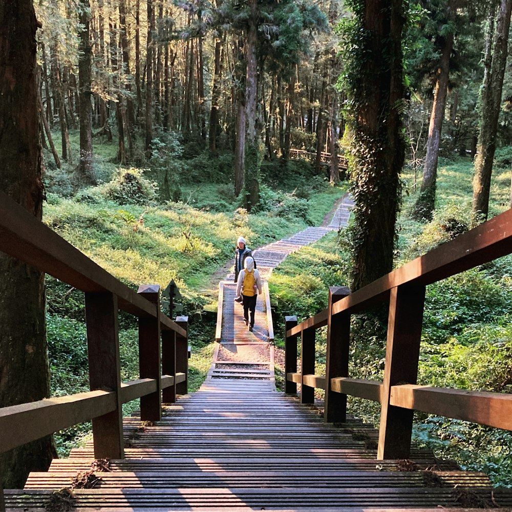 a person walking down a wooden walkway in the woods