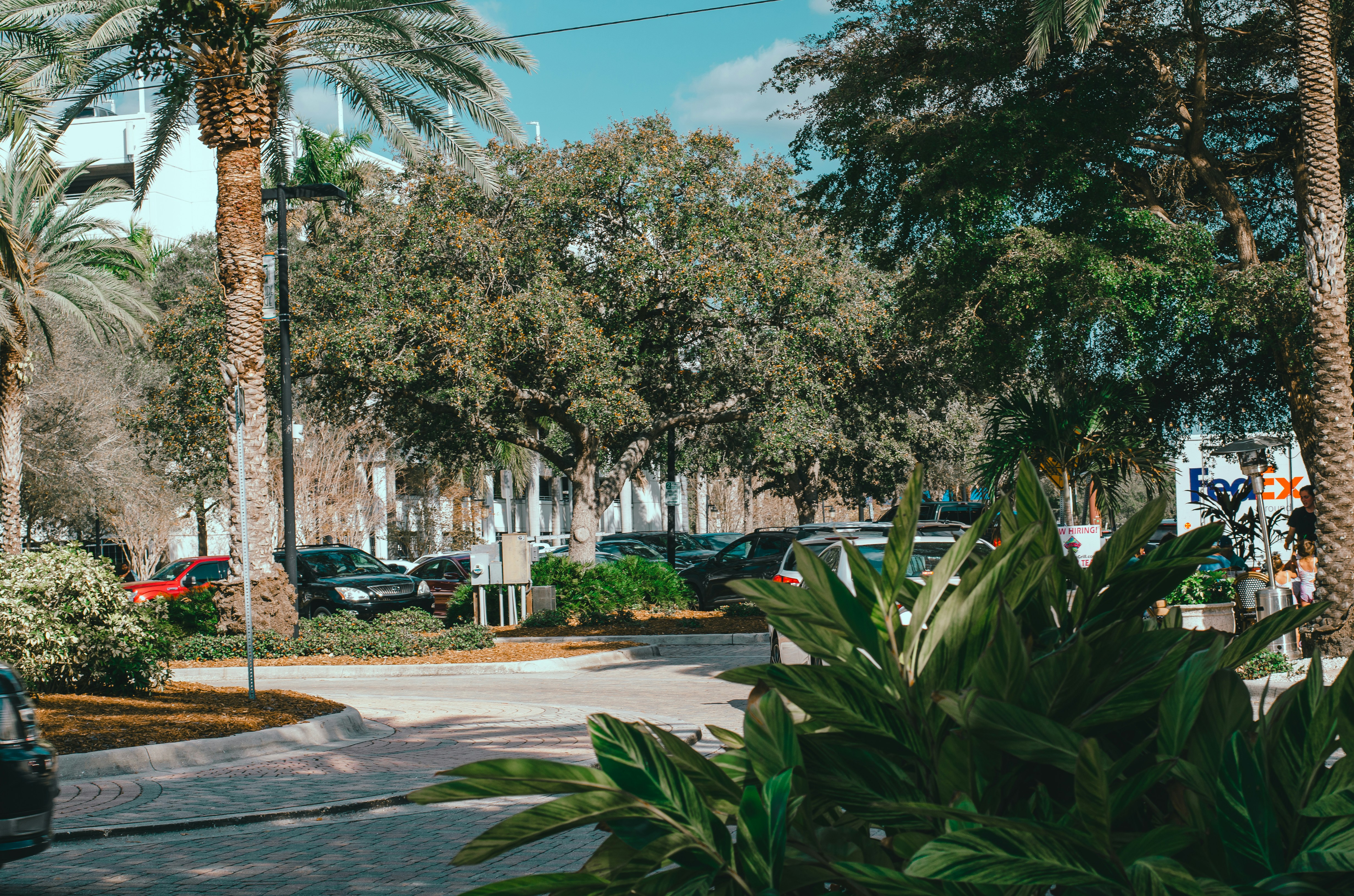 Photo by editable_edits