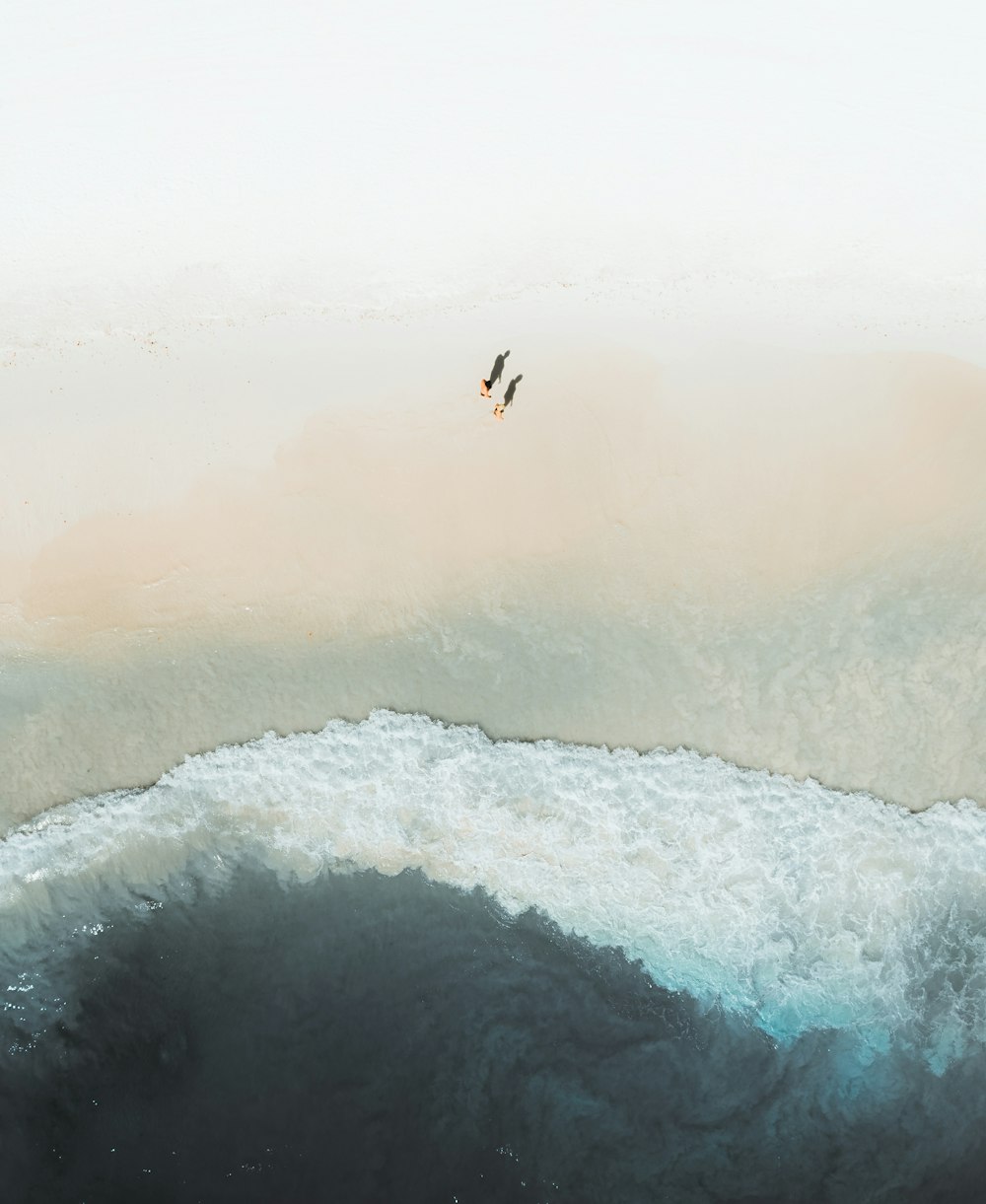 a bird flying over a large wave in the ocean