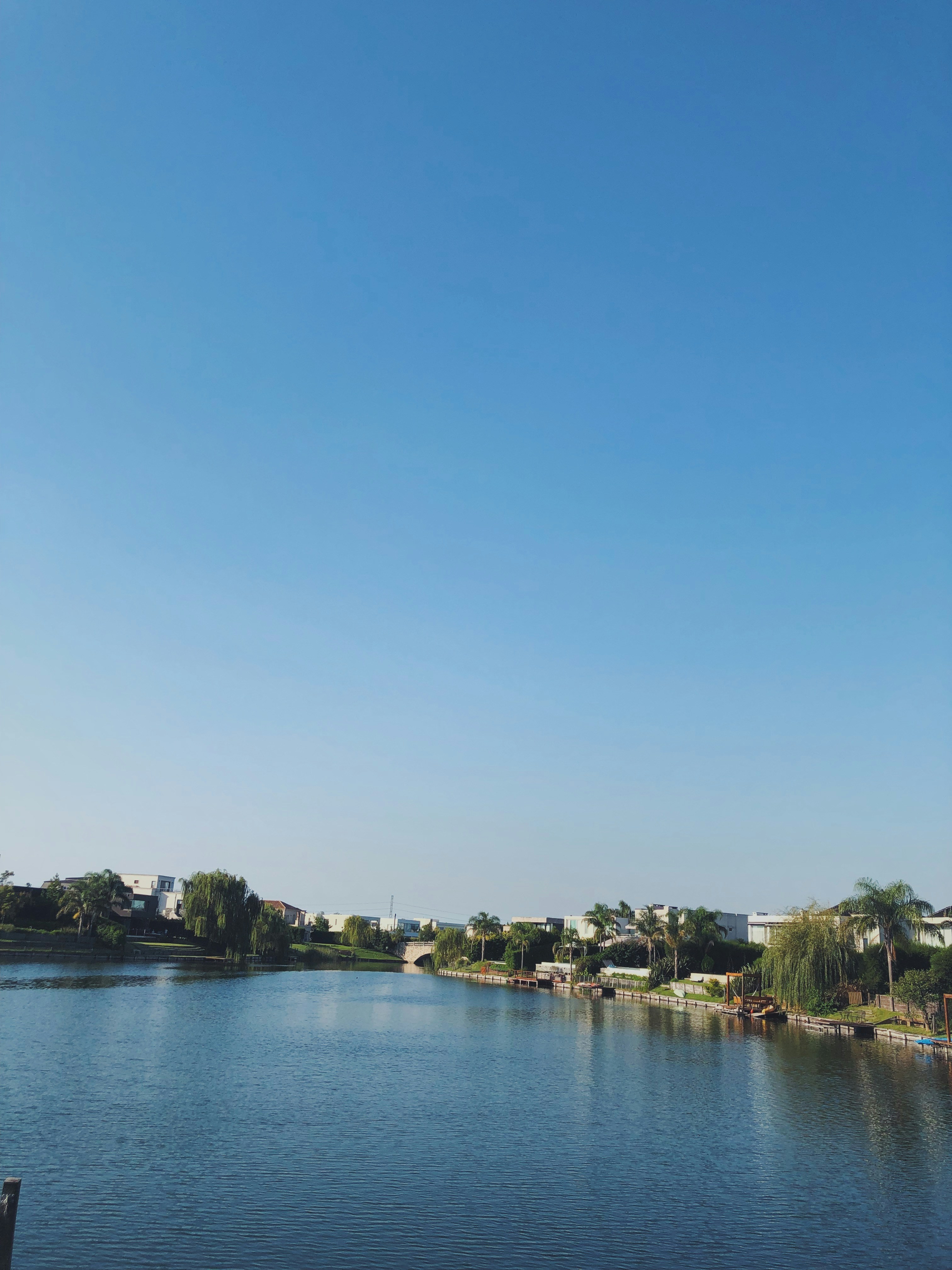 Photo by _felirodriguez