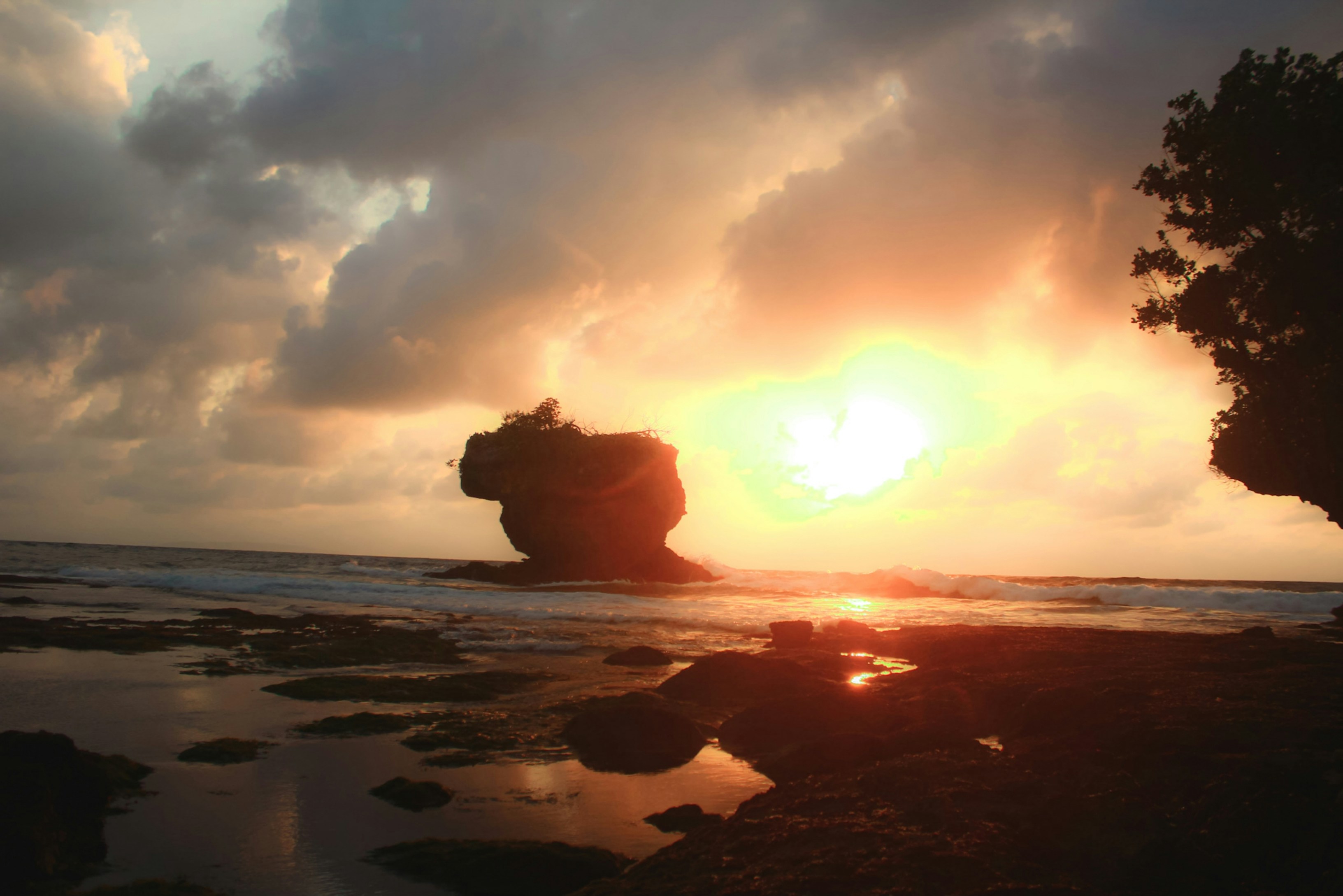Photo by firmanfatthul