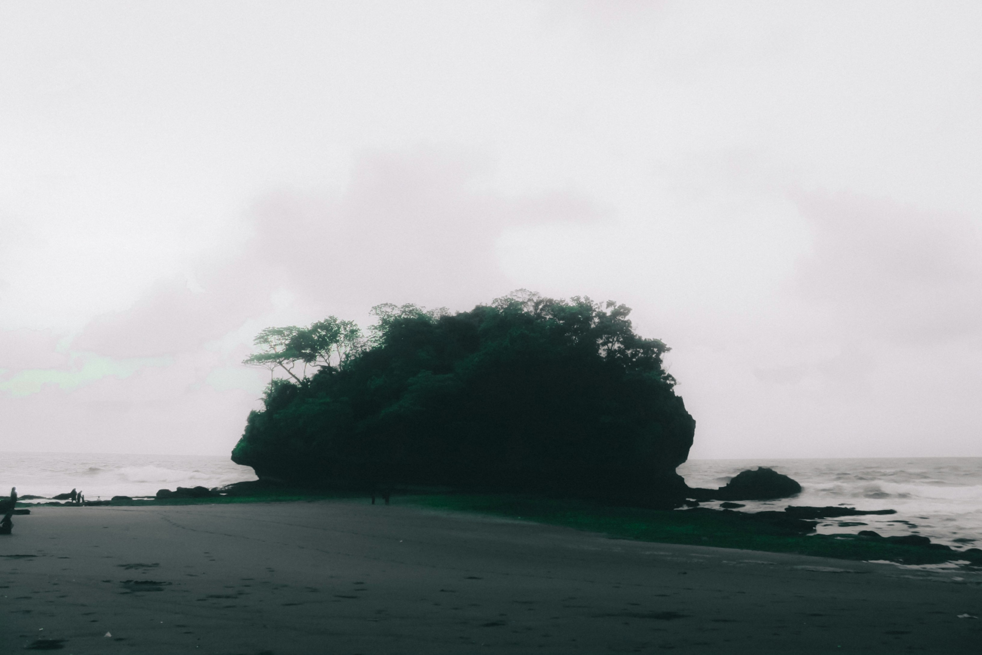 Photo by firmanfatthul