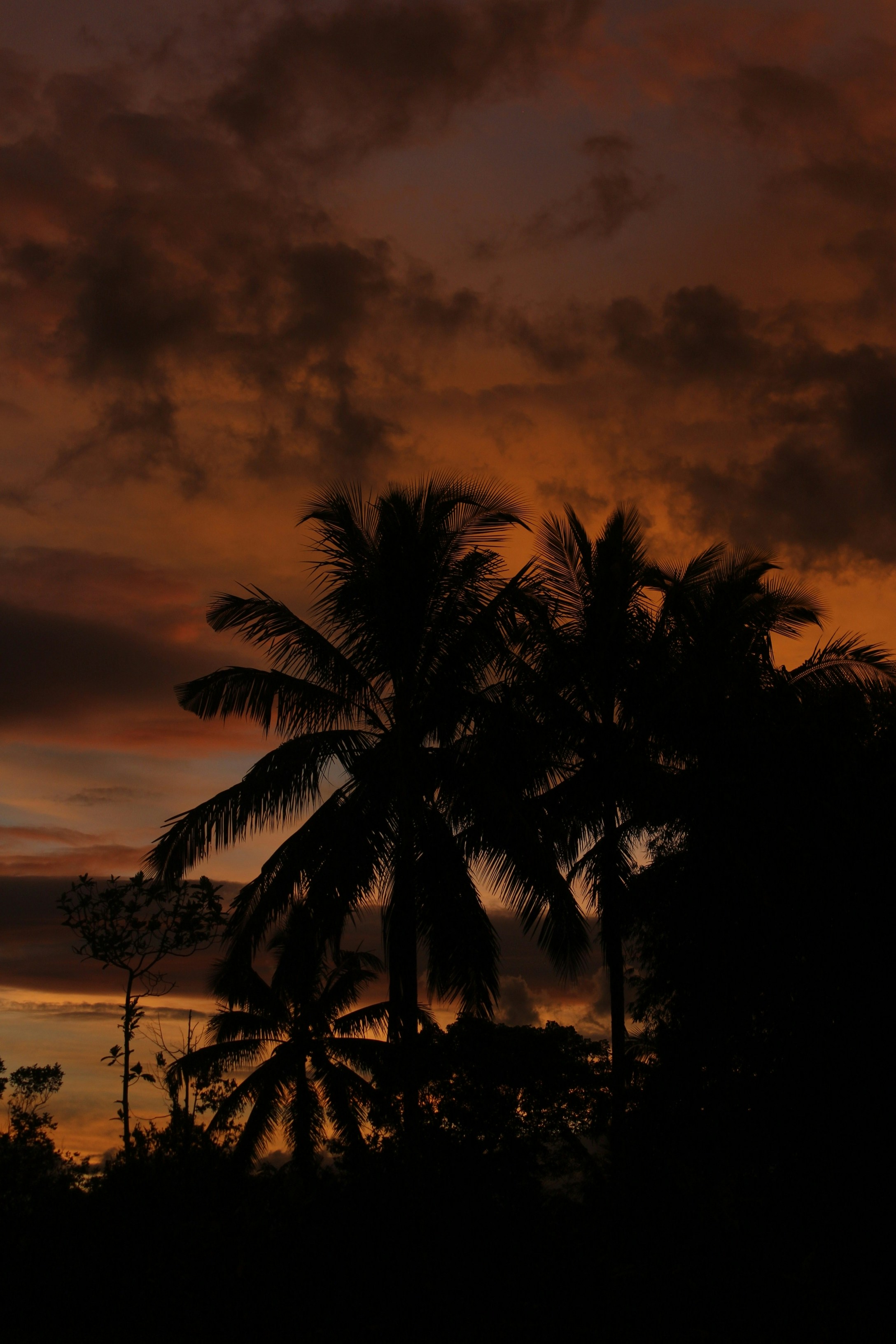 Photo by firmanfatthul