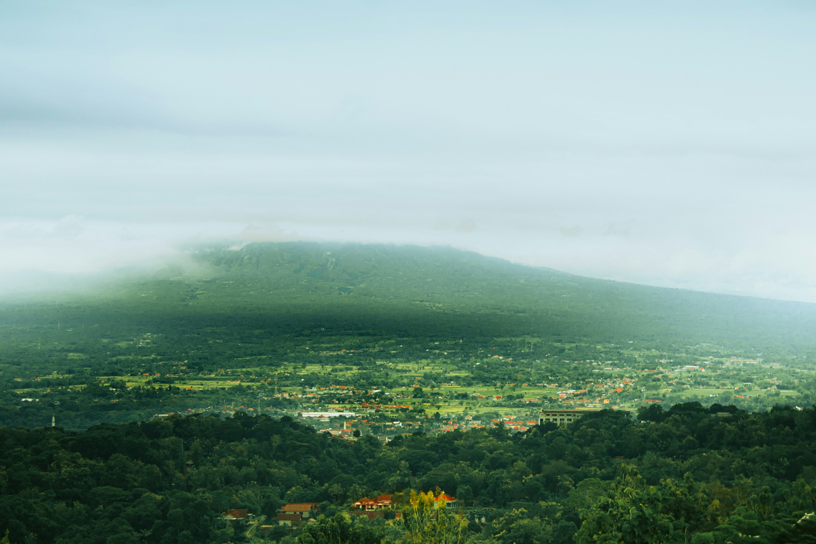 Photo by firmanfatthul