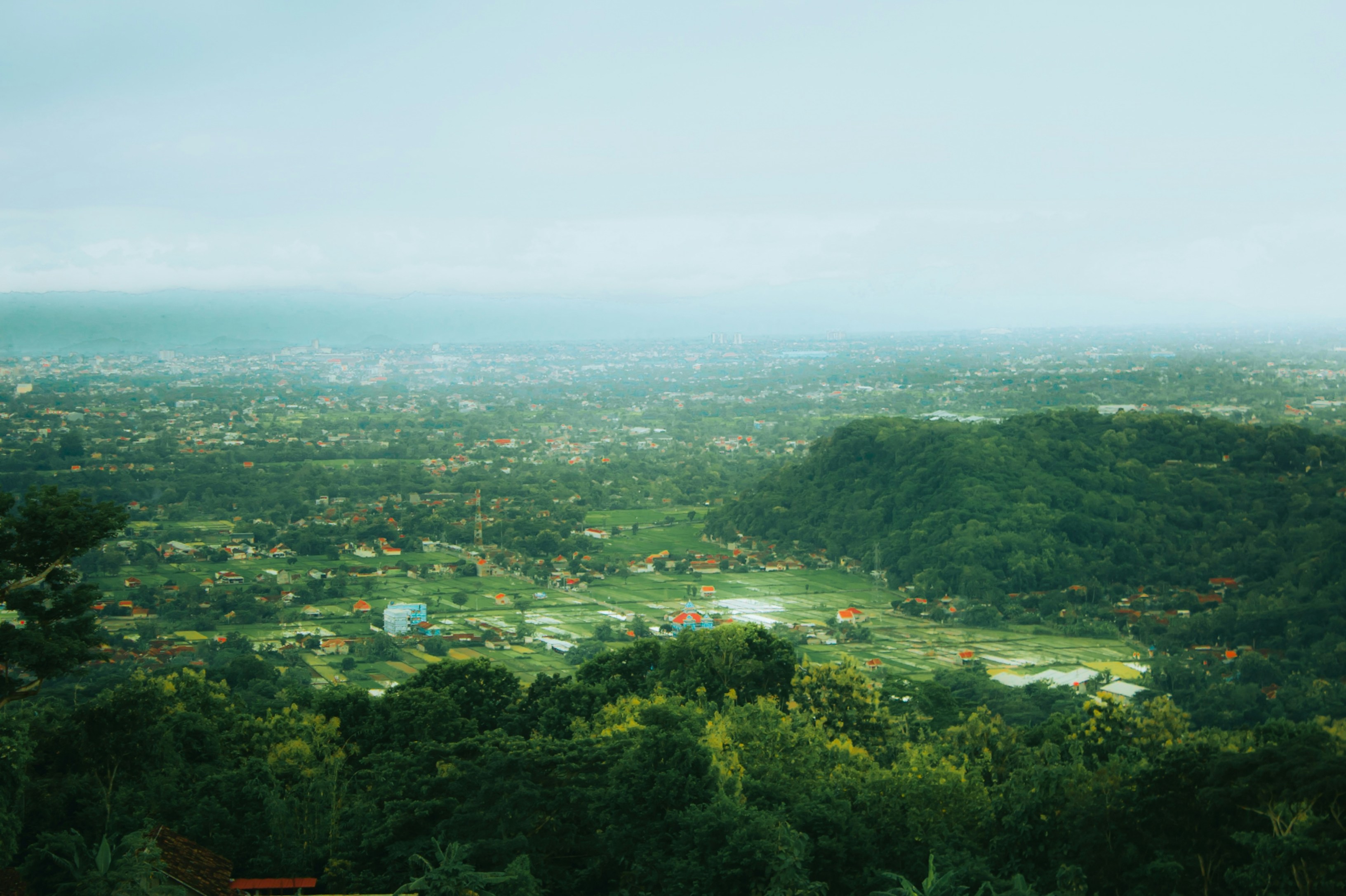 Photo by firmanfatthul