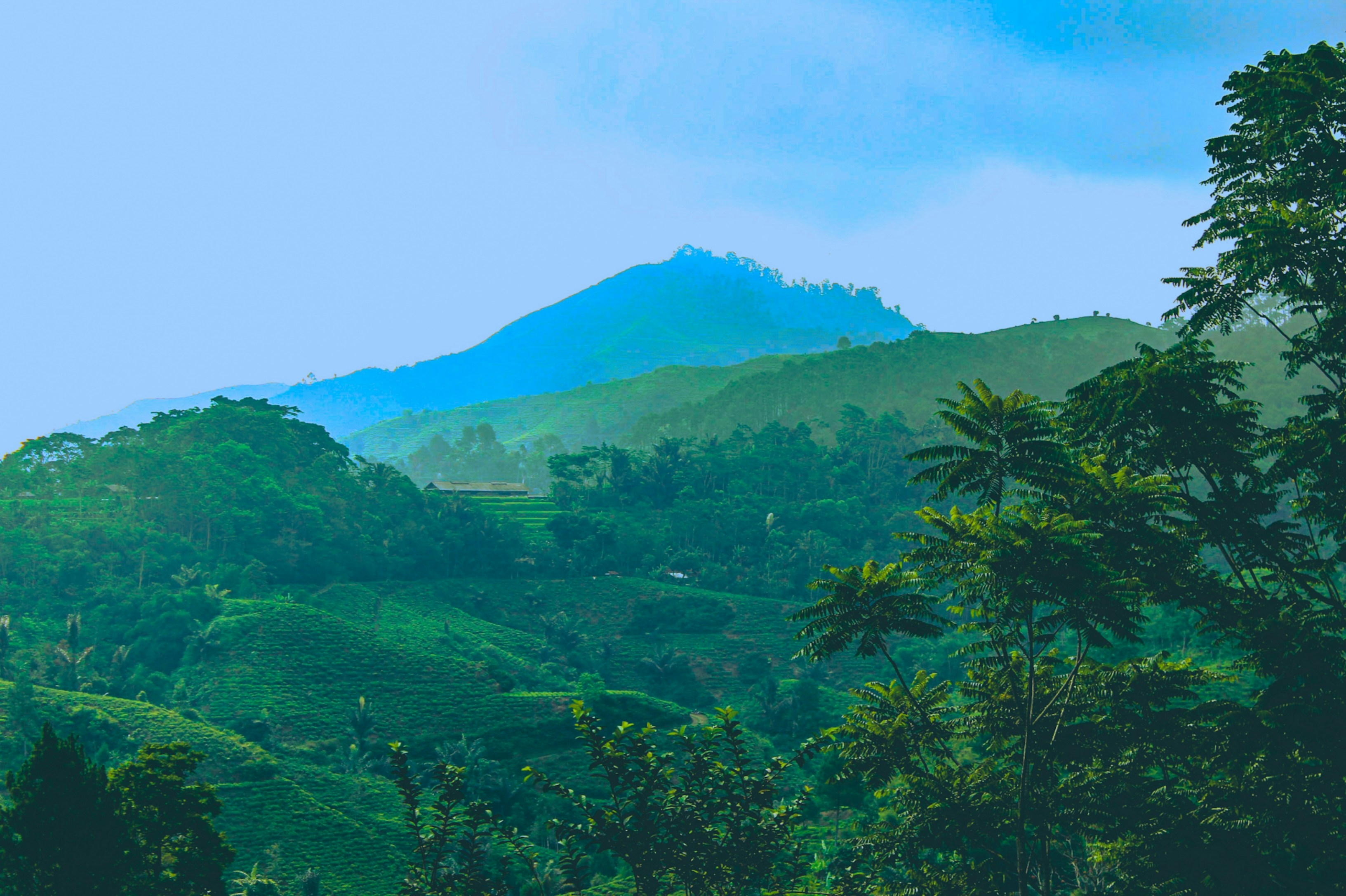 Photo by firmanfatthul