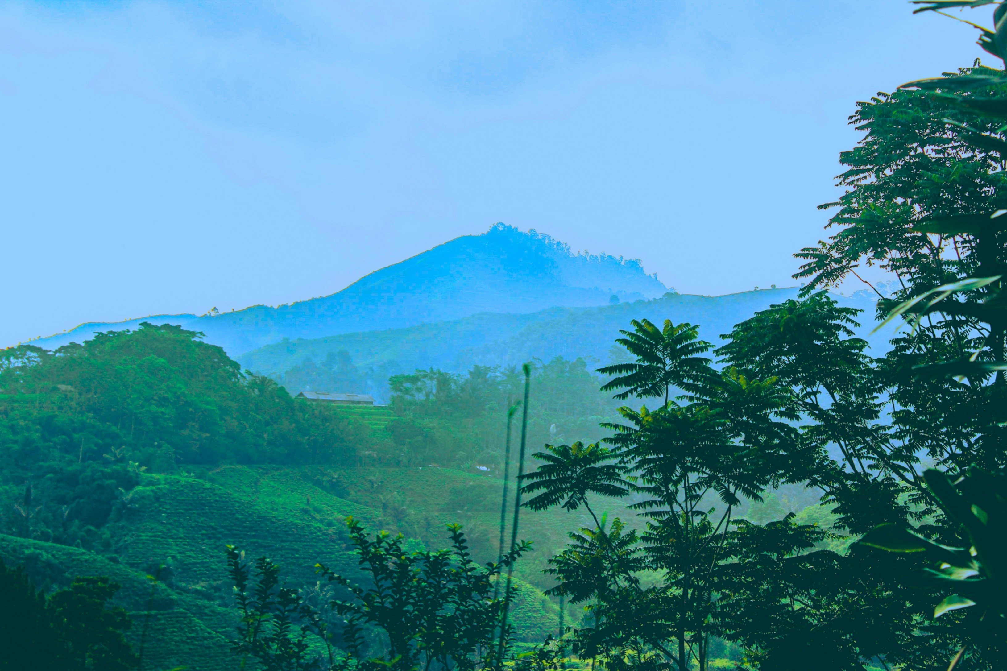 Photo by firmanfatthul