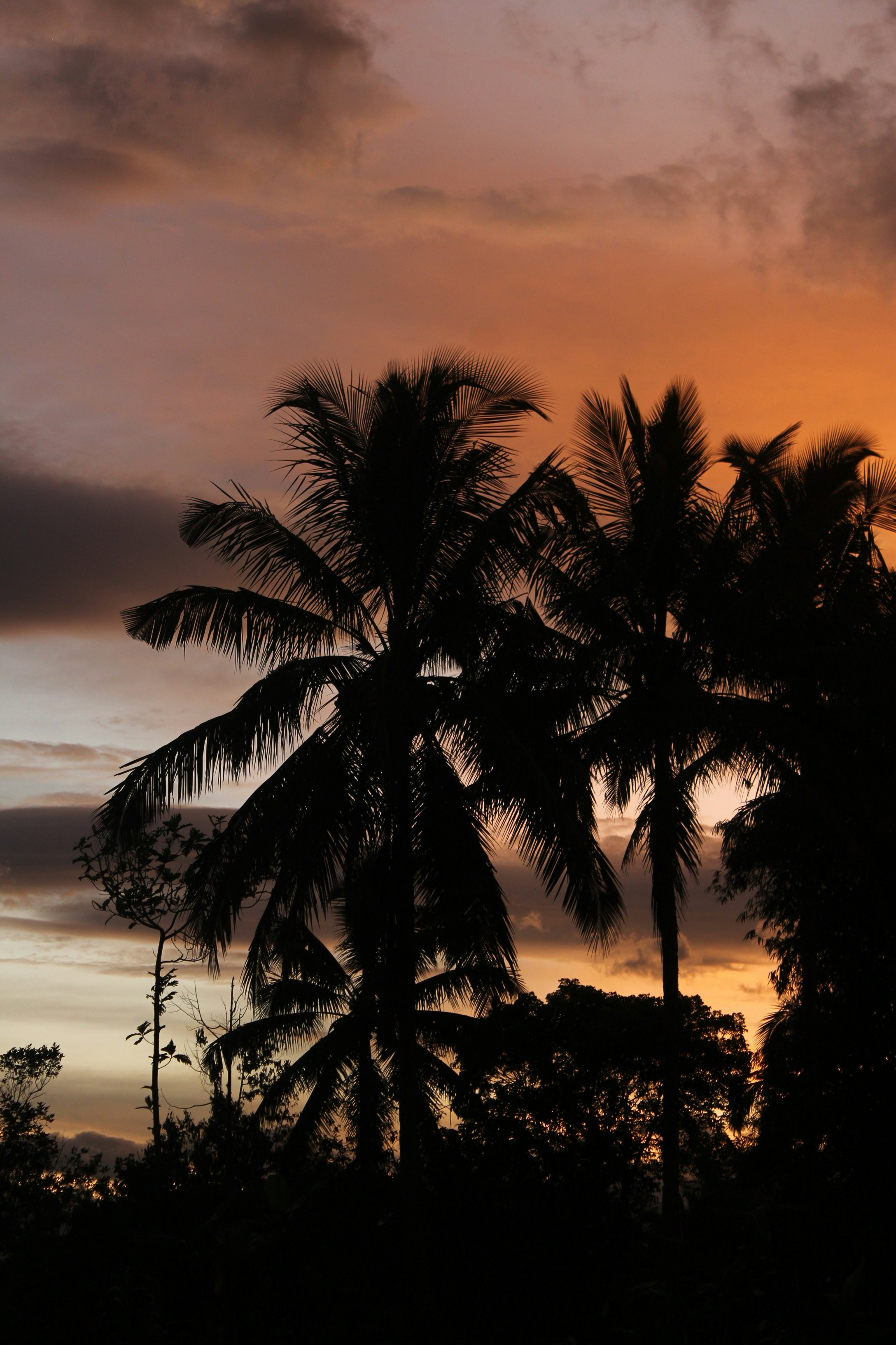 Photo by firmanfatthul