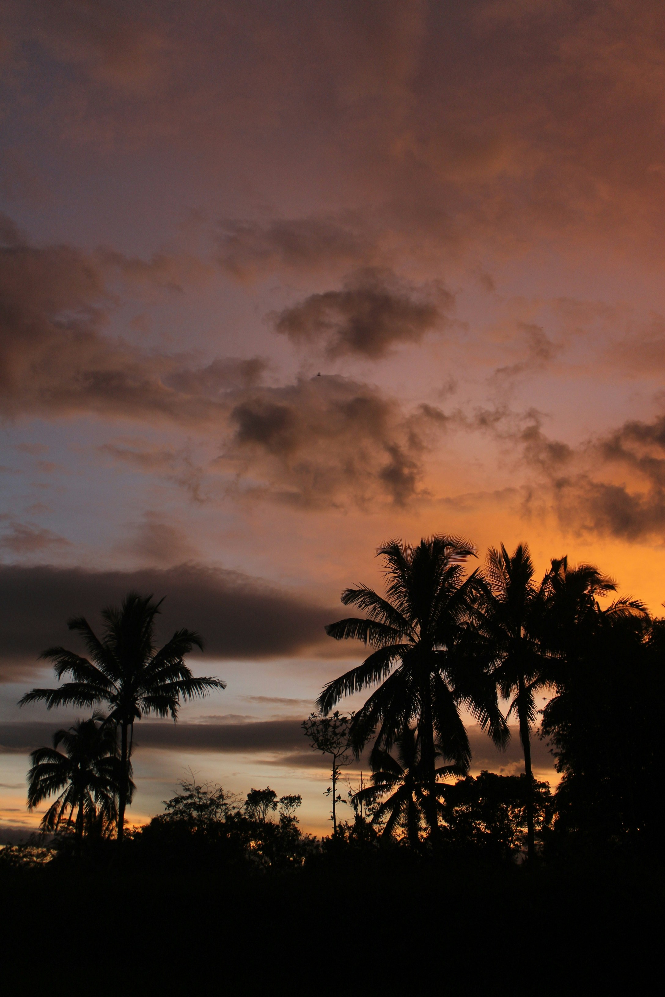 Photo by firmanfatthul