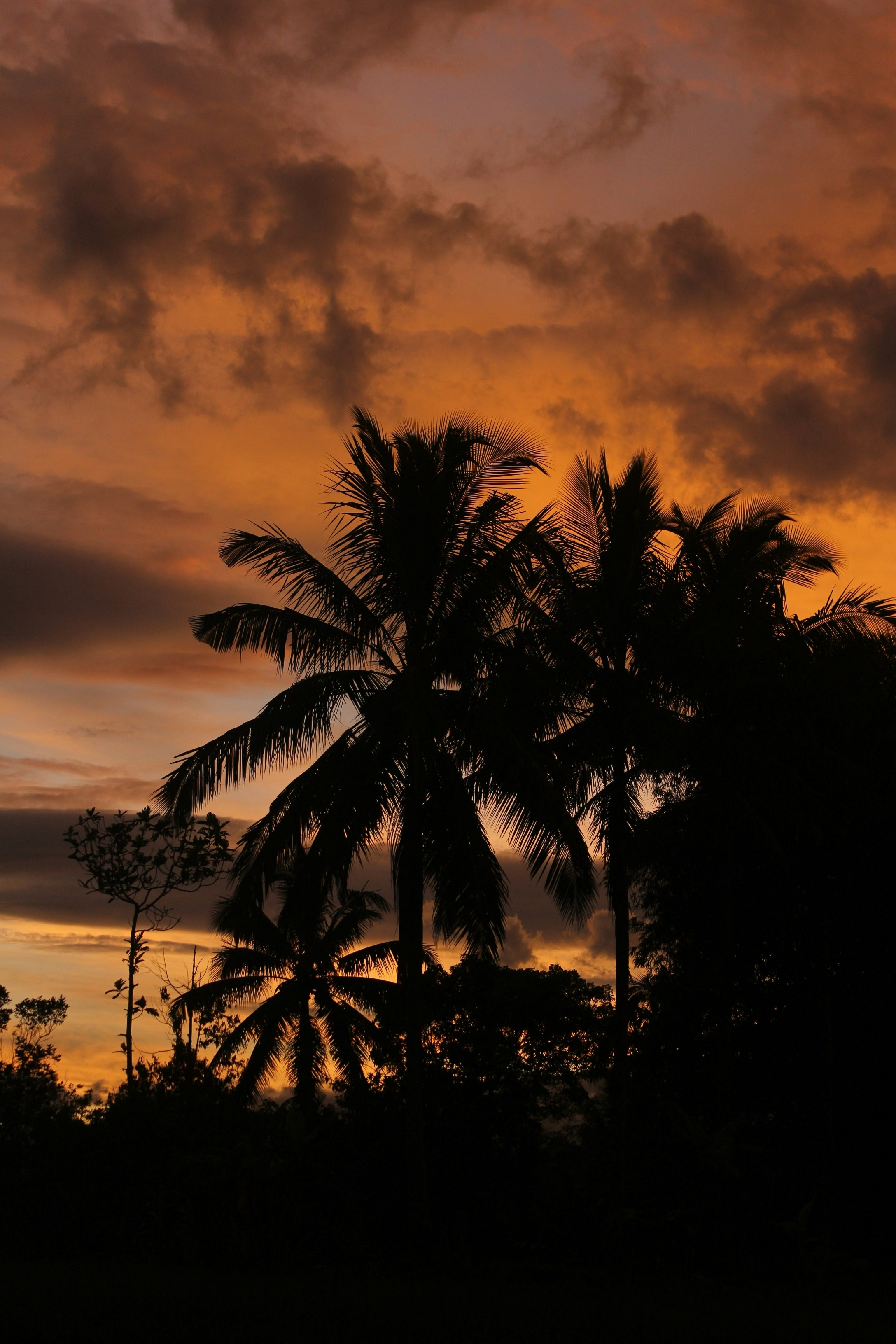 Photo by firmanfatthul