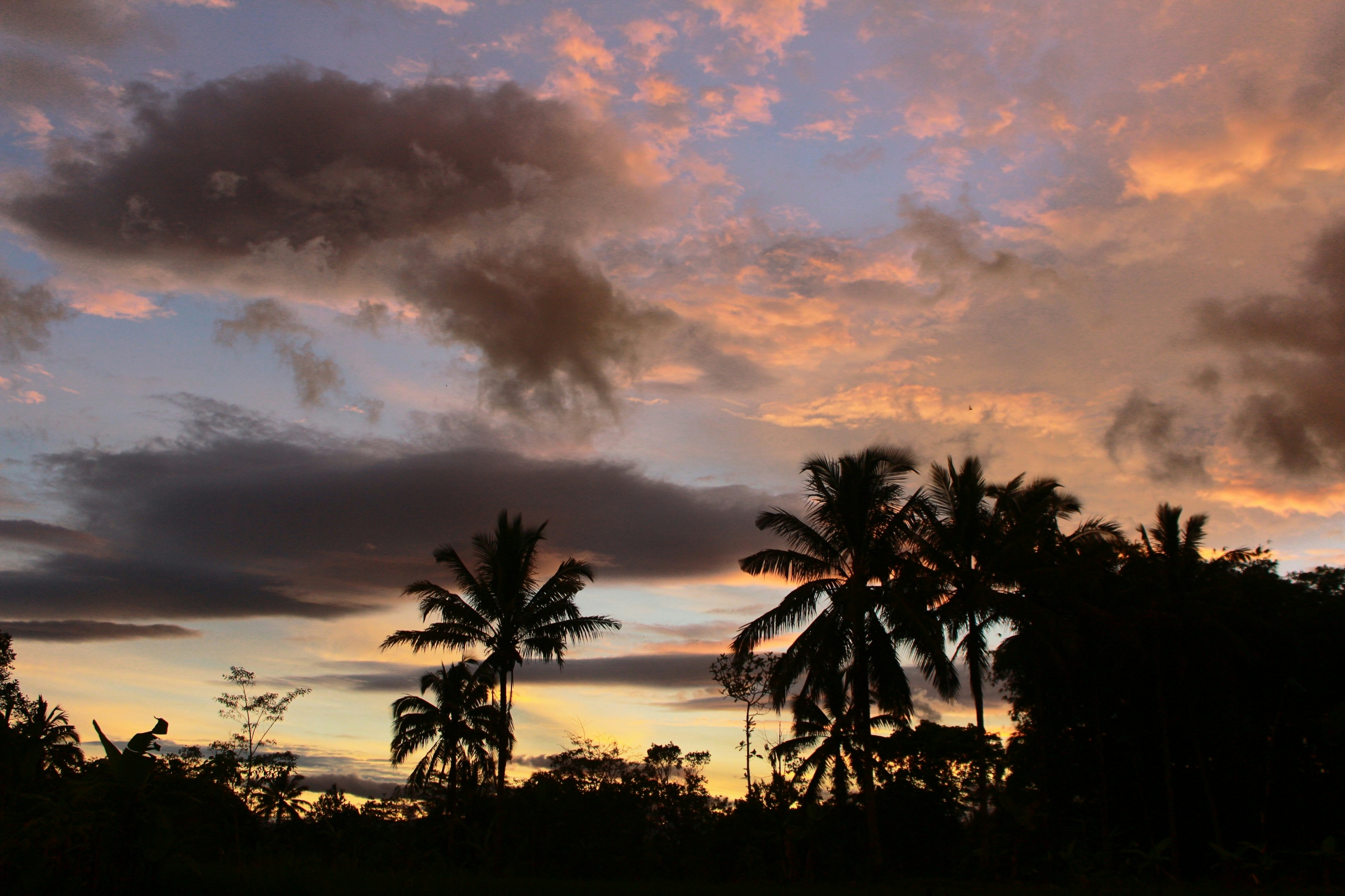 Photo by firmanfatthul