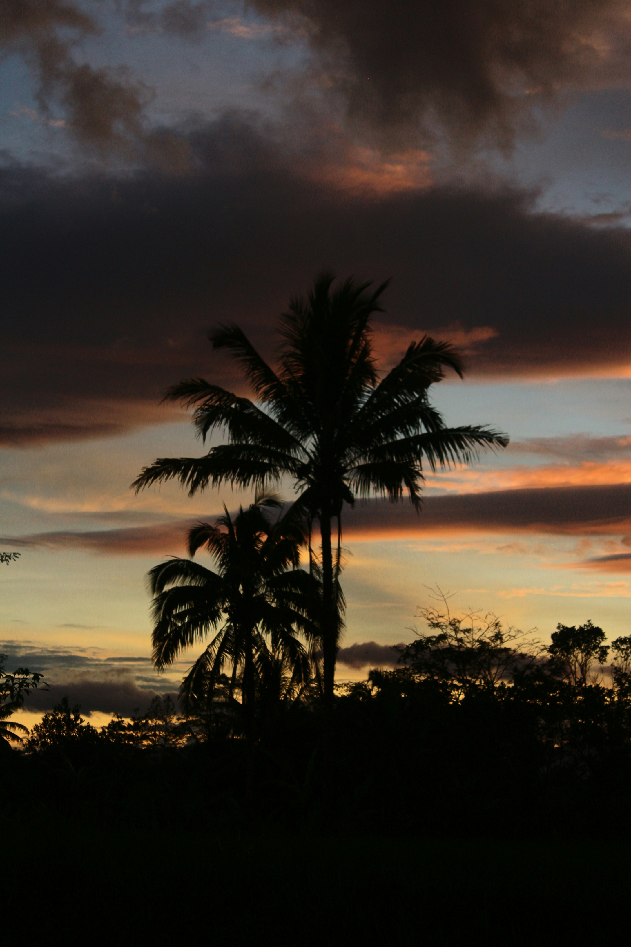 Photo by firmanfatthul