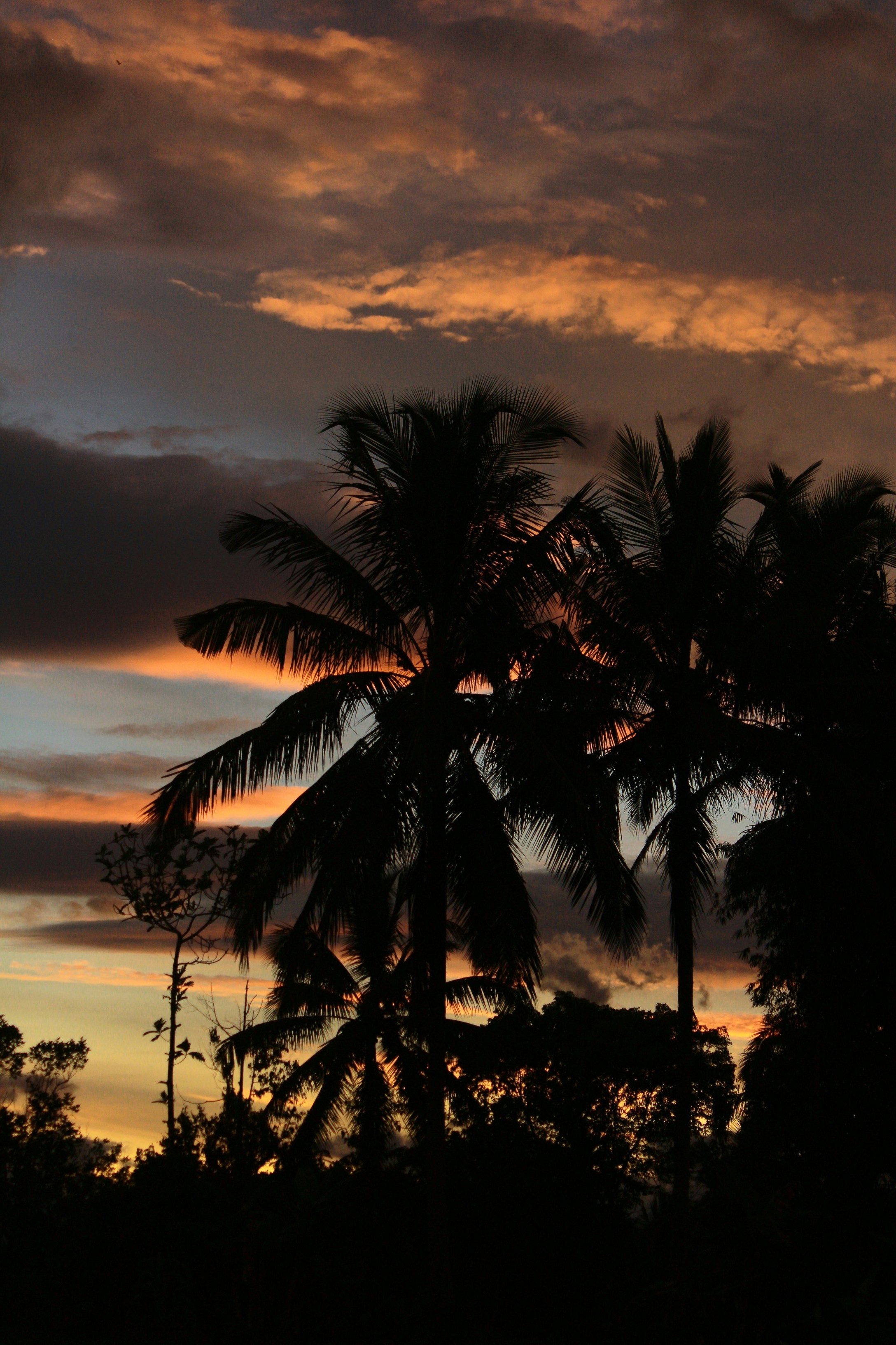 Photo by firmanfatthul