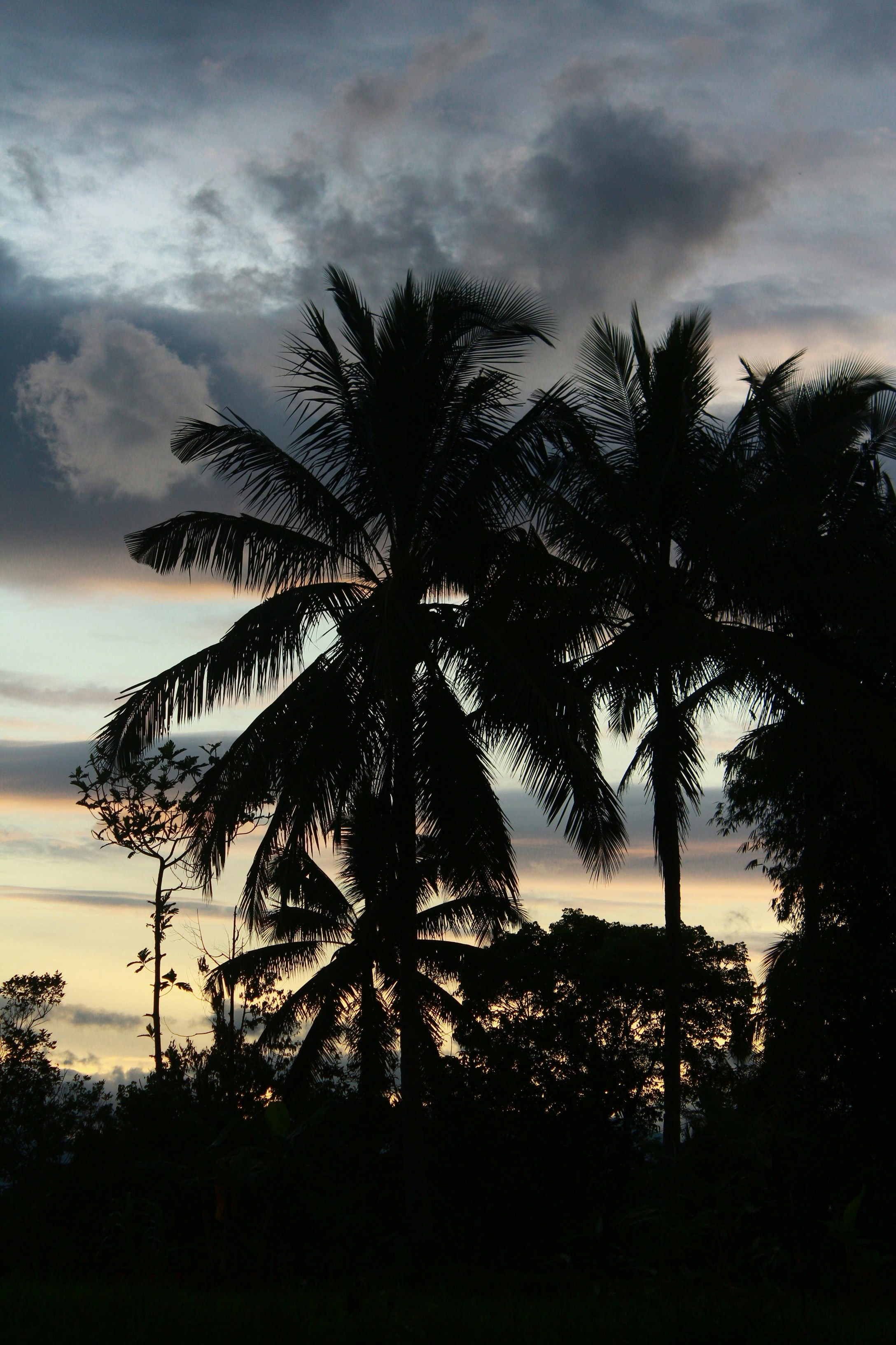 Photo by firmanfatthul