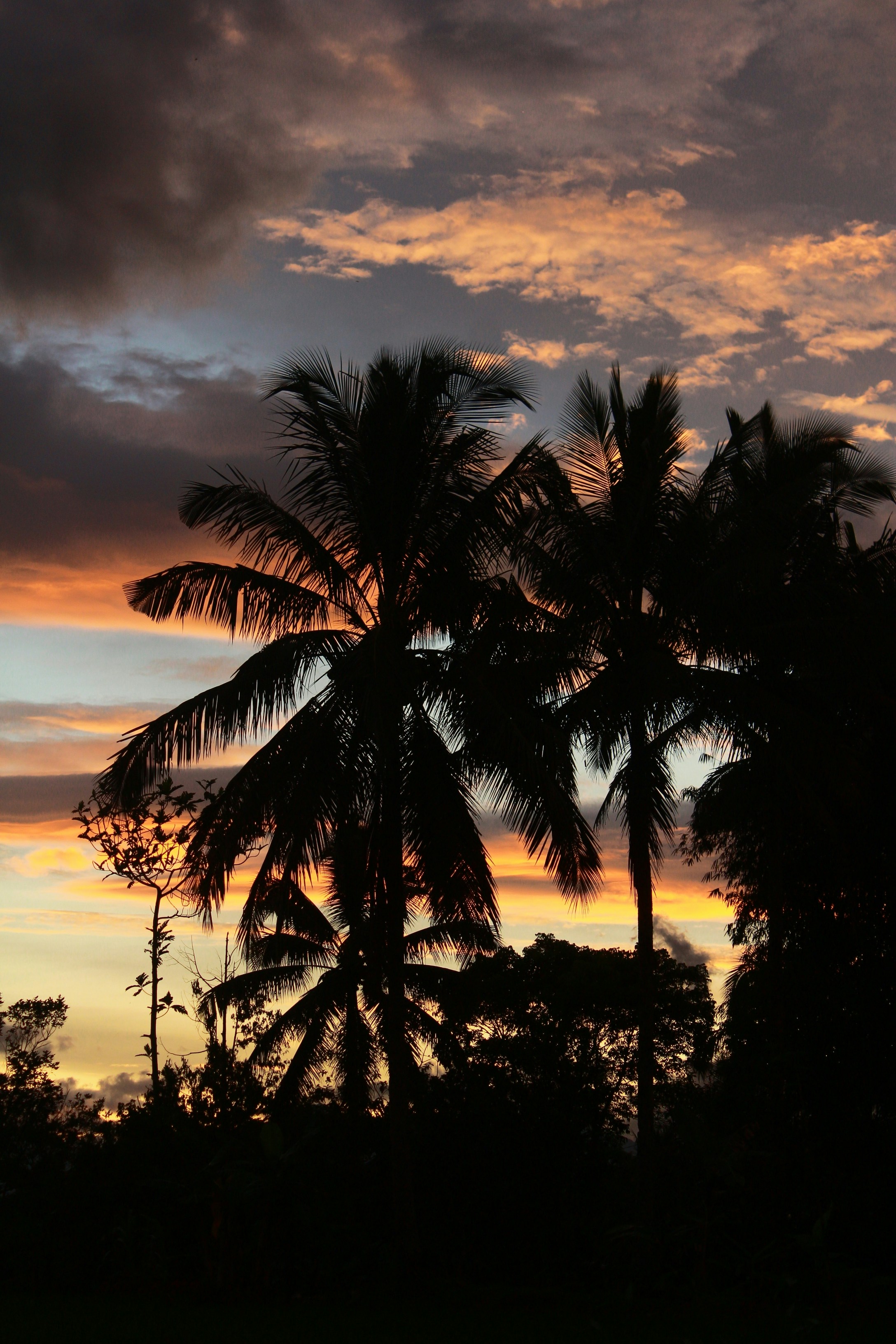 Photo by firmanfatthul