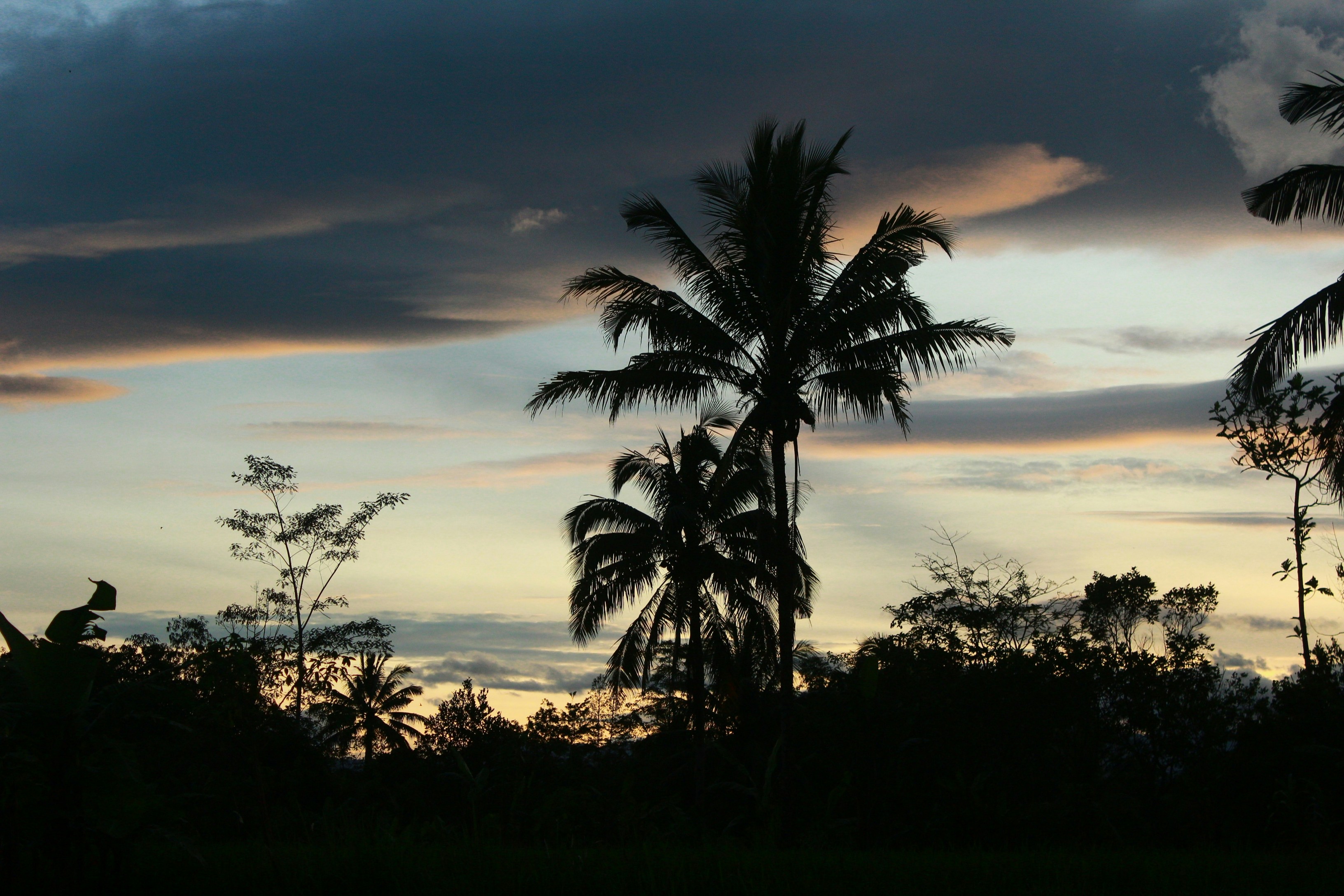 Photo by firmanfatthul