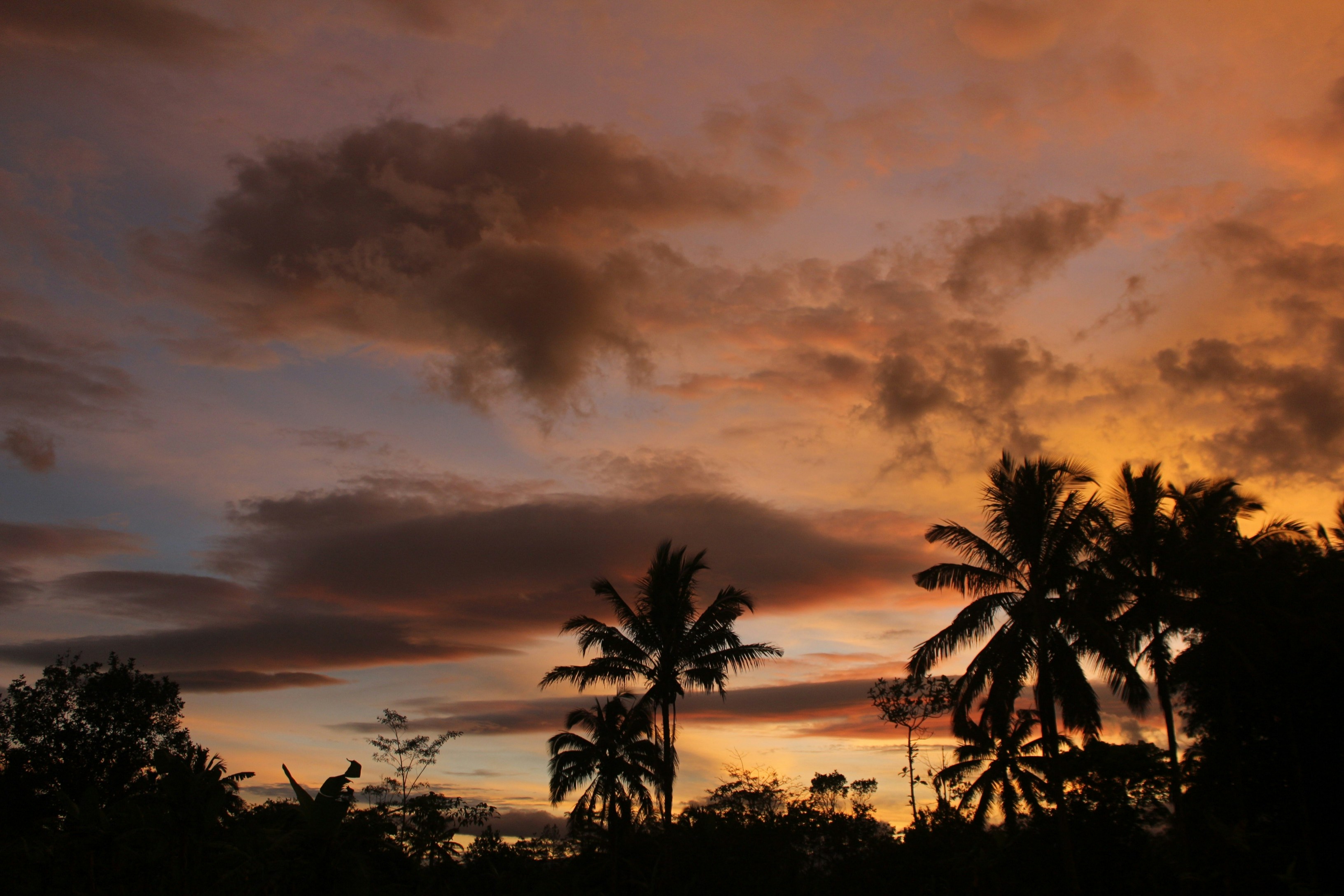 Photo by firmanfatthul