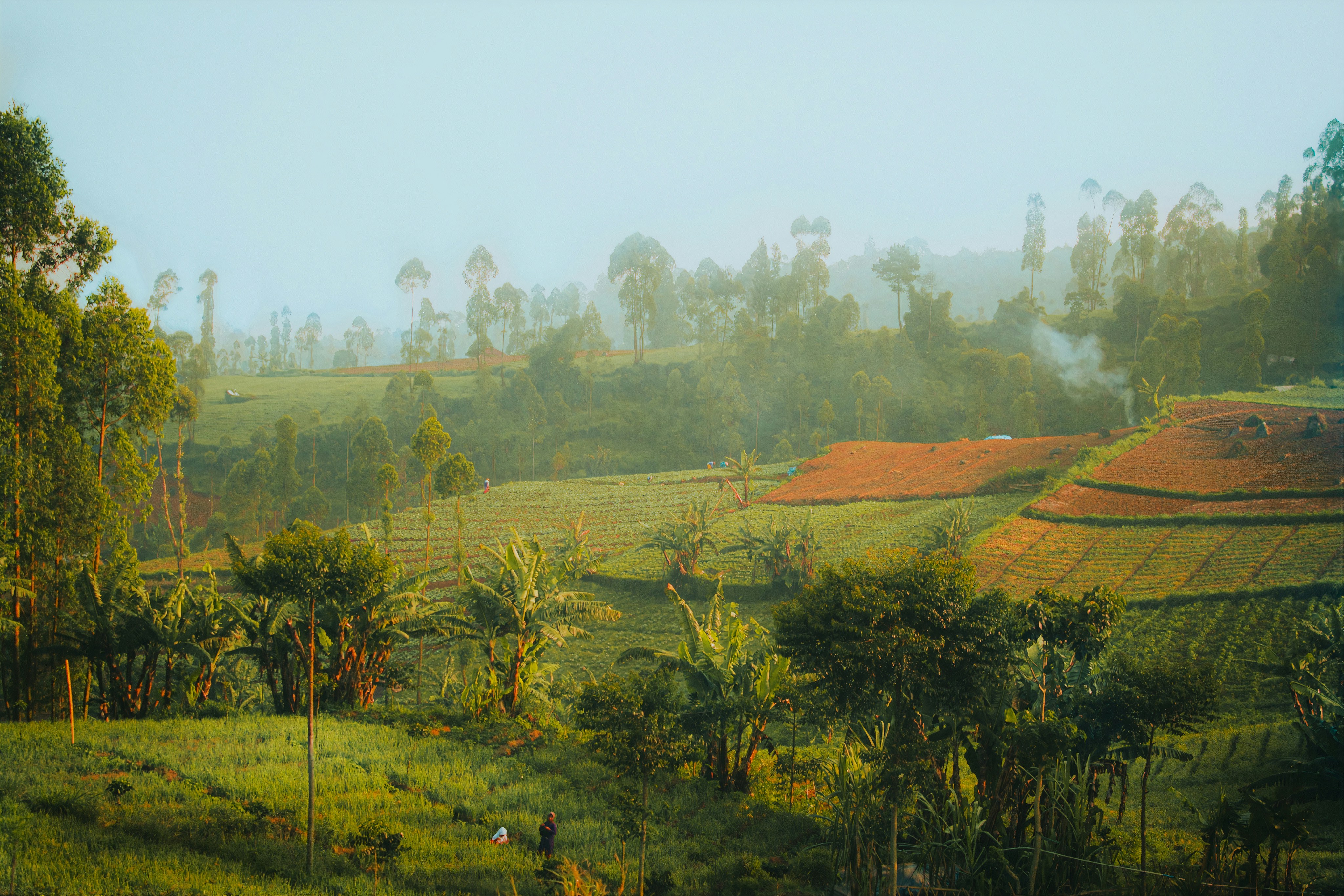 Photo by firmanfatthul